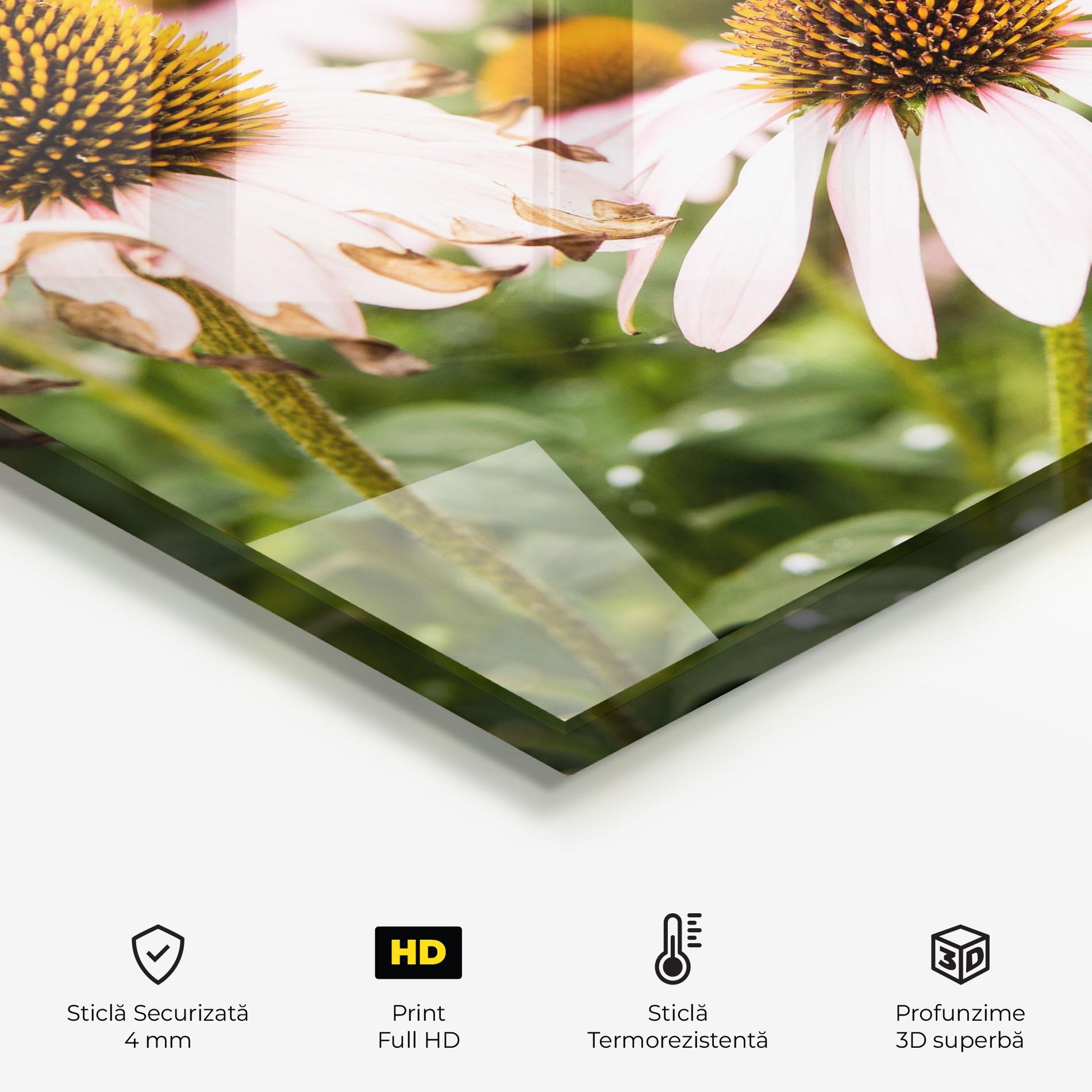 Panou Sticla Bucatarie Daylight Bee mockup 2