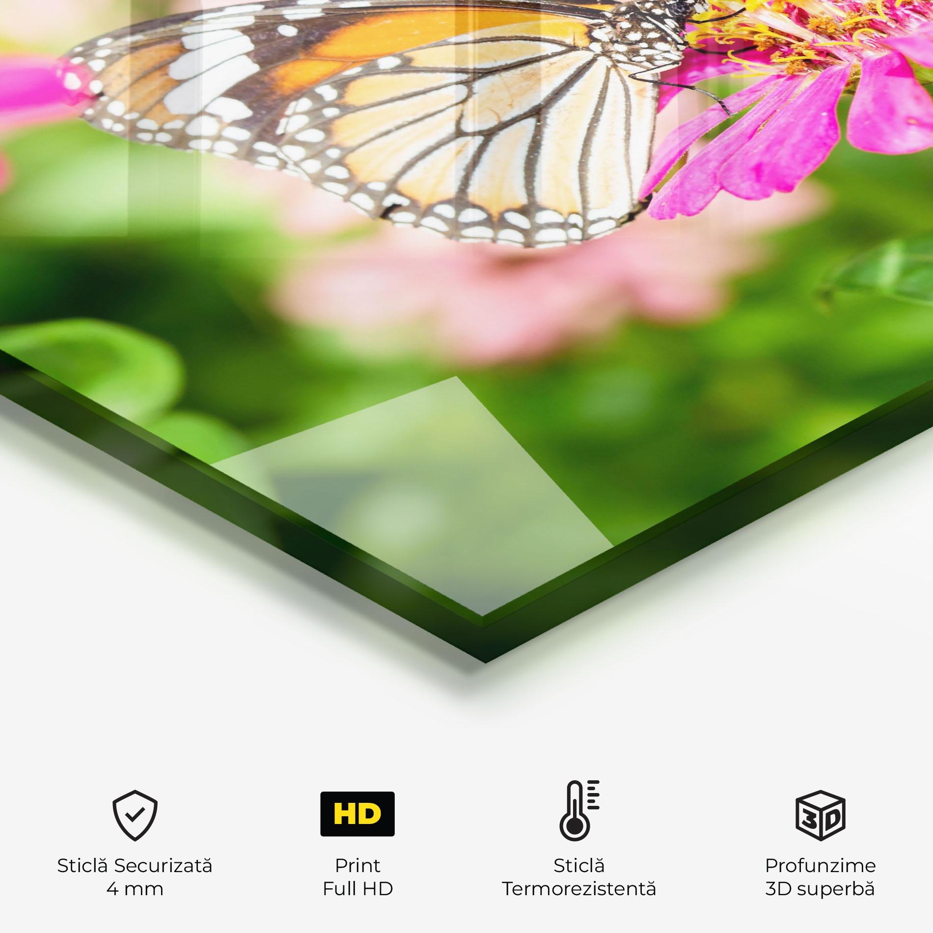 Panou Sticla Bucatarie Daylight Butterfly mockup 2