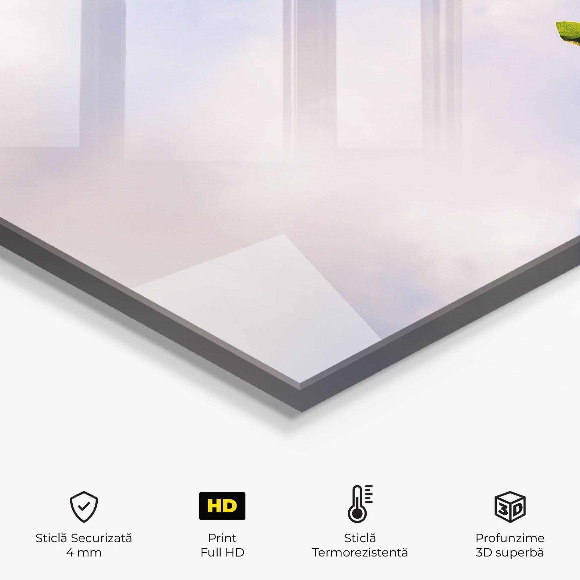 Panou Sticla Bucatarie J Cruikshank Lhzagi8n3oi Unsplash mockup 2