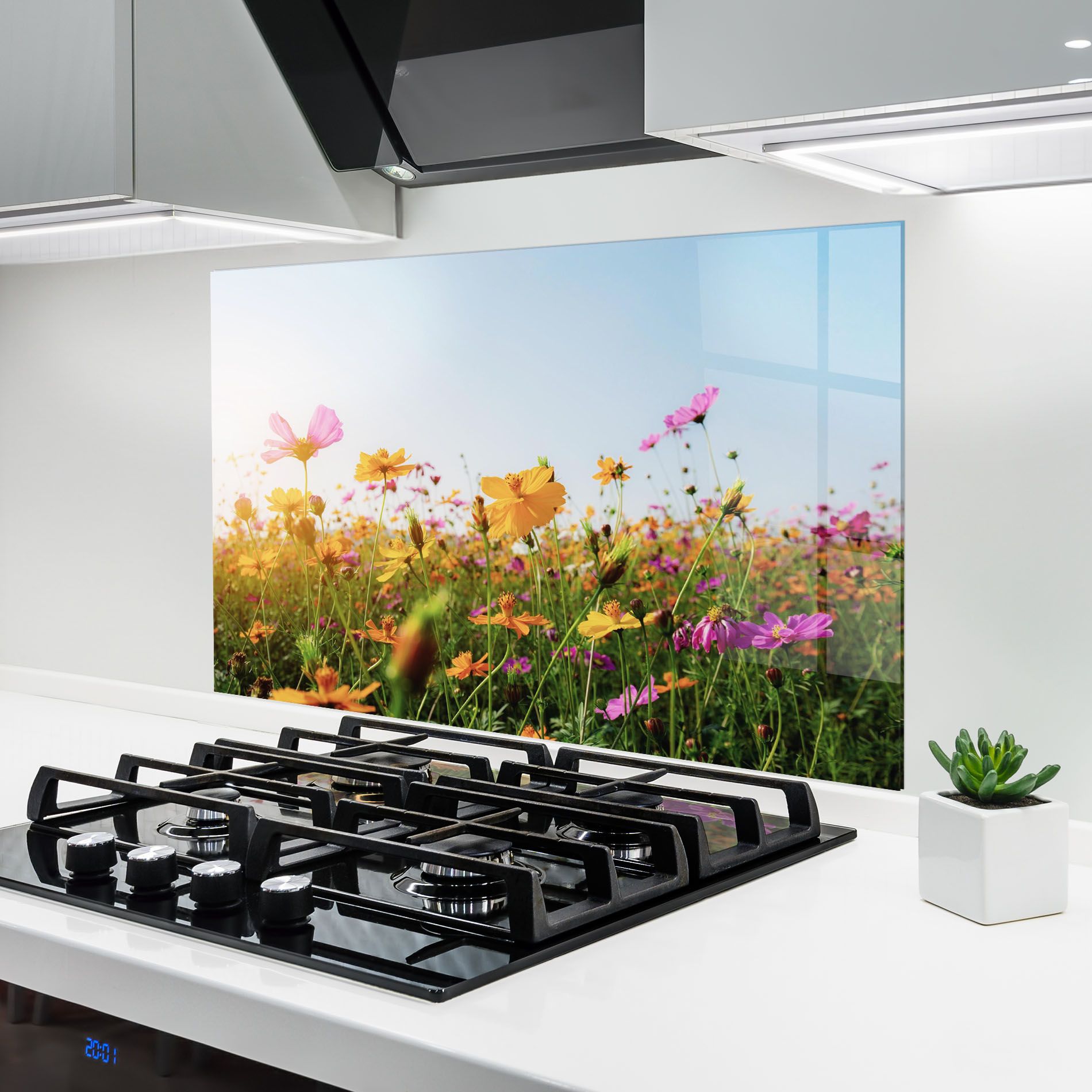 Cosmos Field Sunset mockup 6