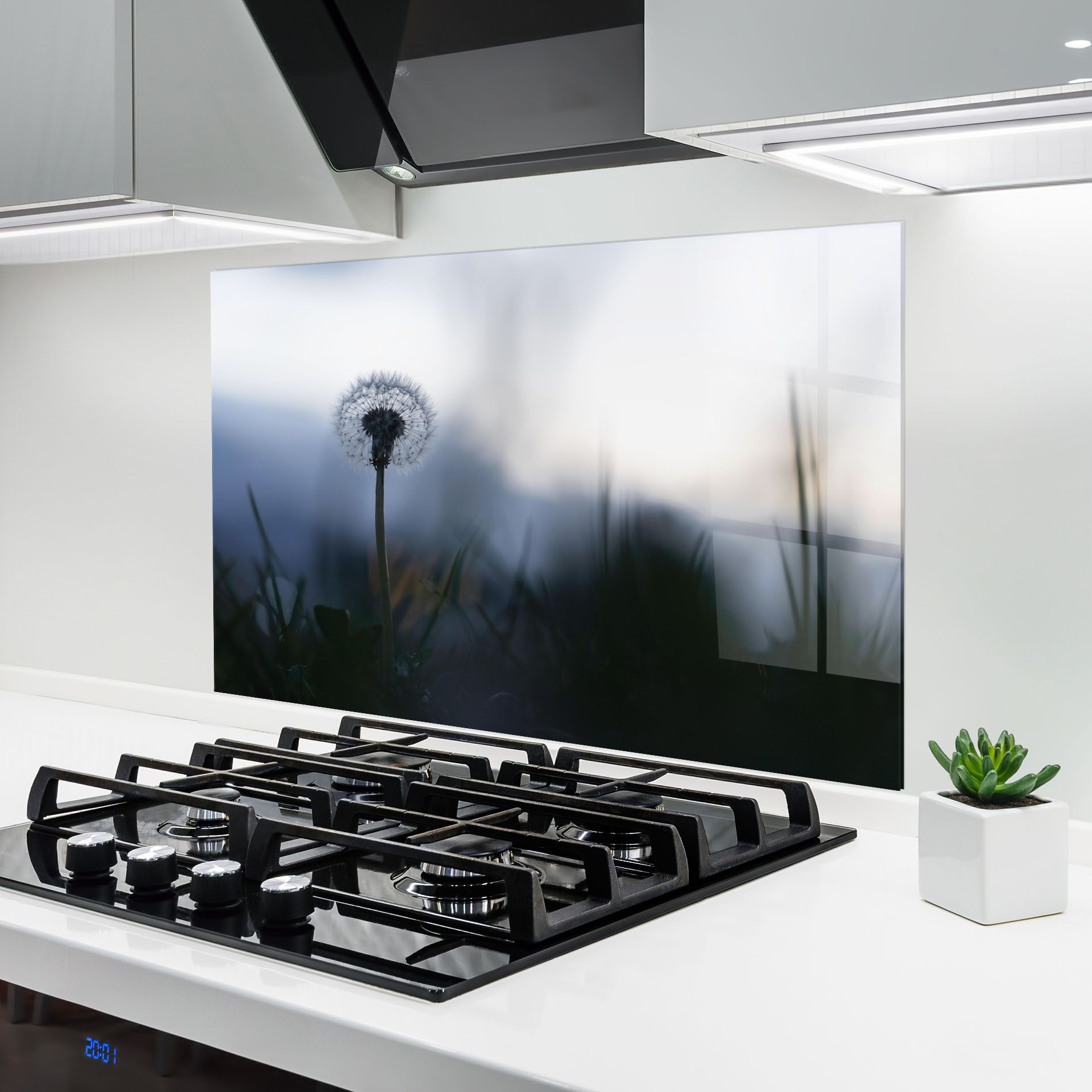 Dandelion Wild View mockup 6