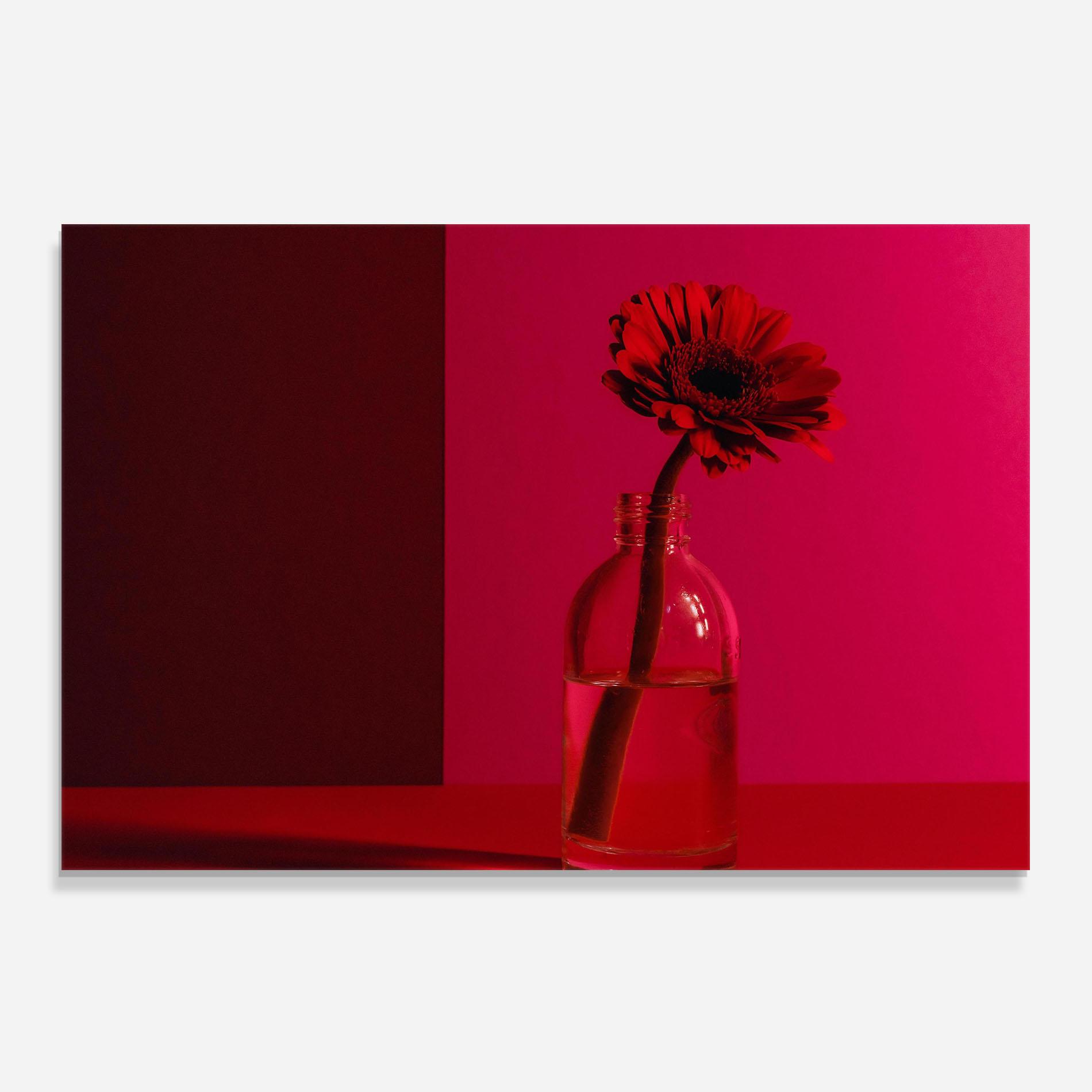 Panou Sticla Bucatarie Red Light Vase mockup 0
