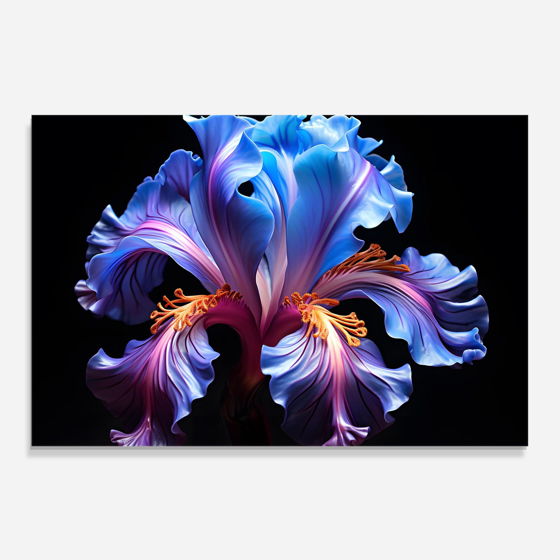 Beautiful Iris On Black mockup 0