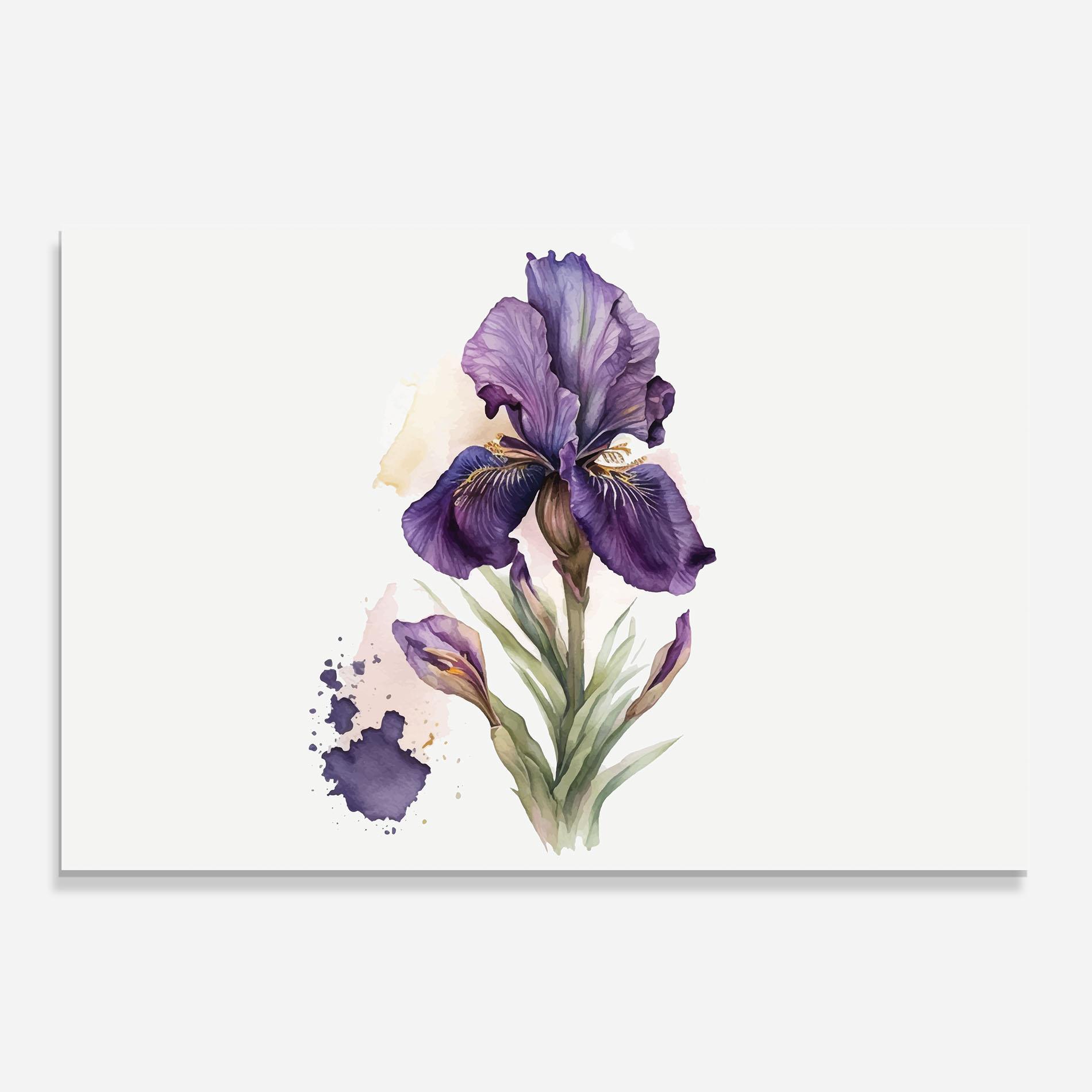 Panou Sticla Bucatarie Beautiful Purple Iris mockup 0