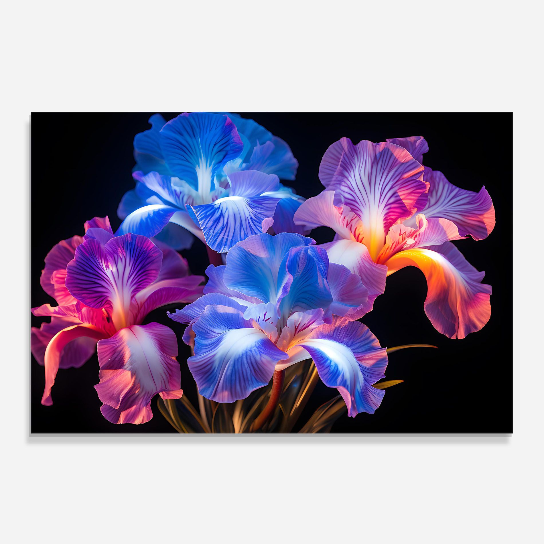 Blue Light Iris mockup 0