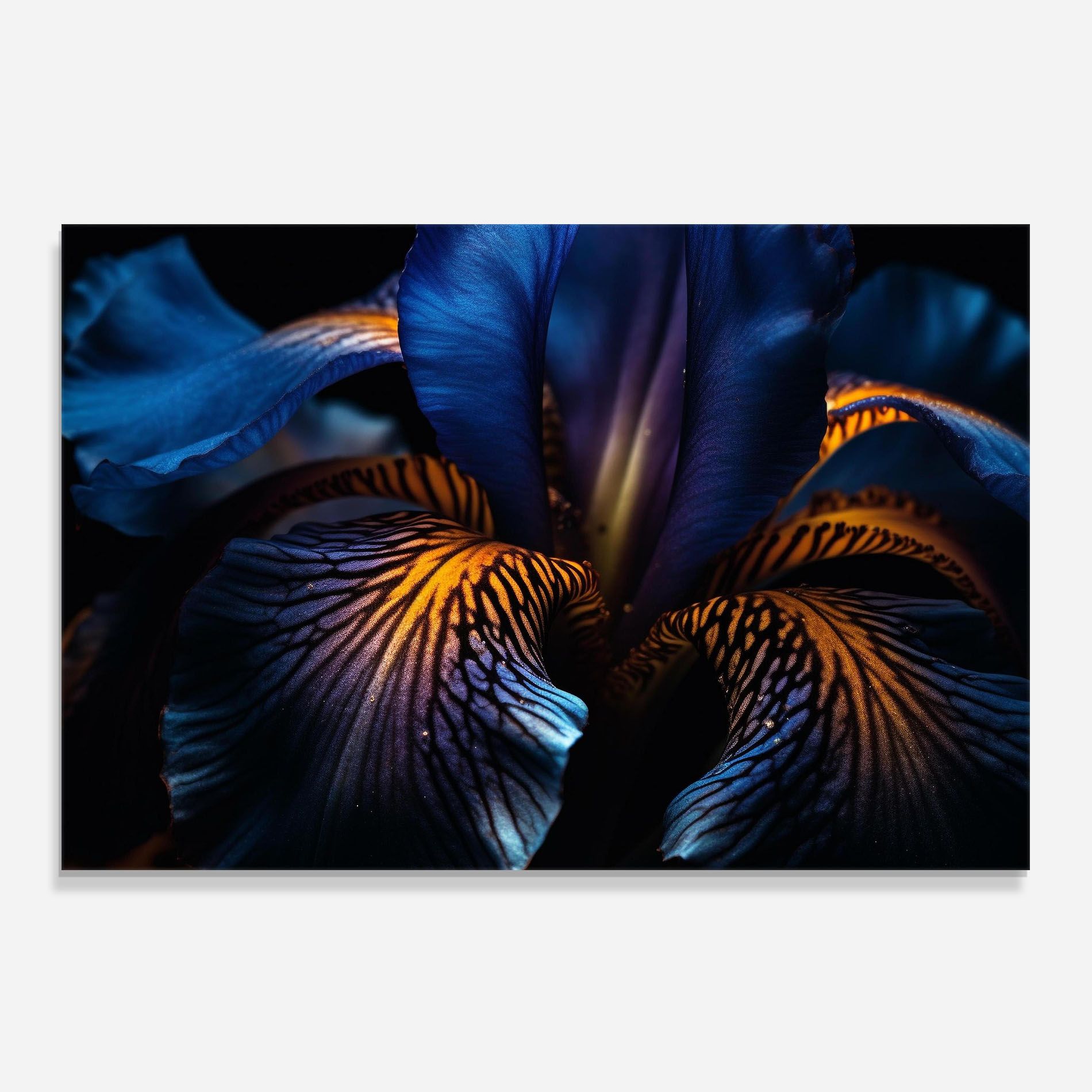 Dark Yellow Iris mockup 0