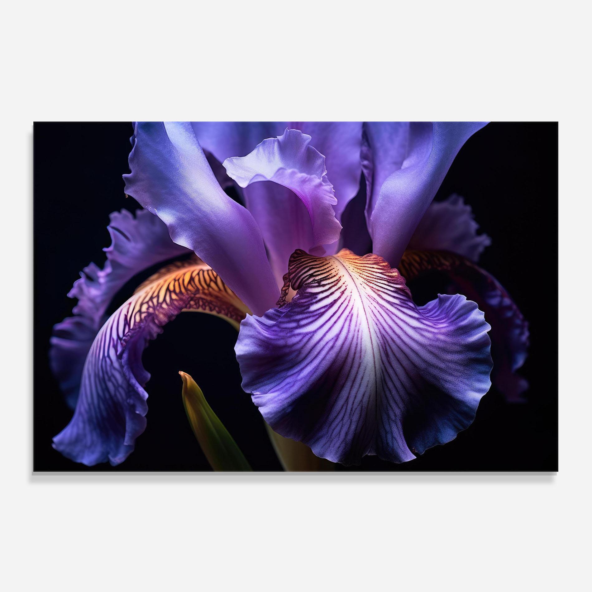 Panou Sticla Bucatarie Iris Beautiful Close Up mockup 0