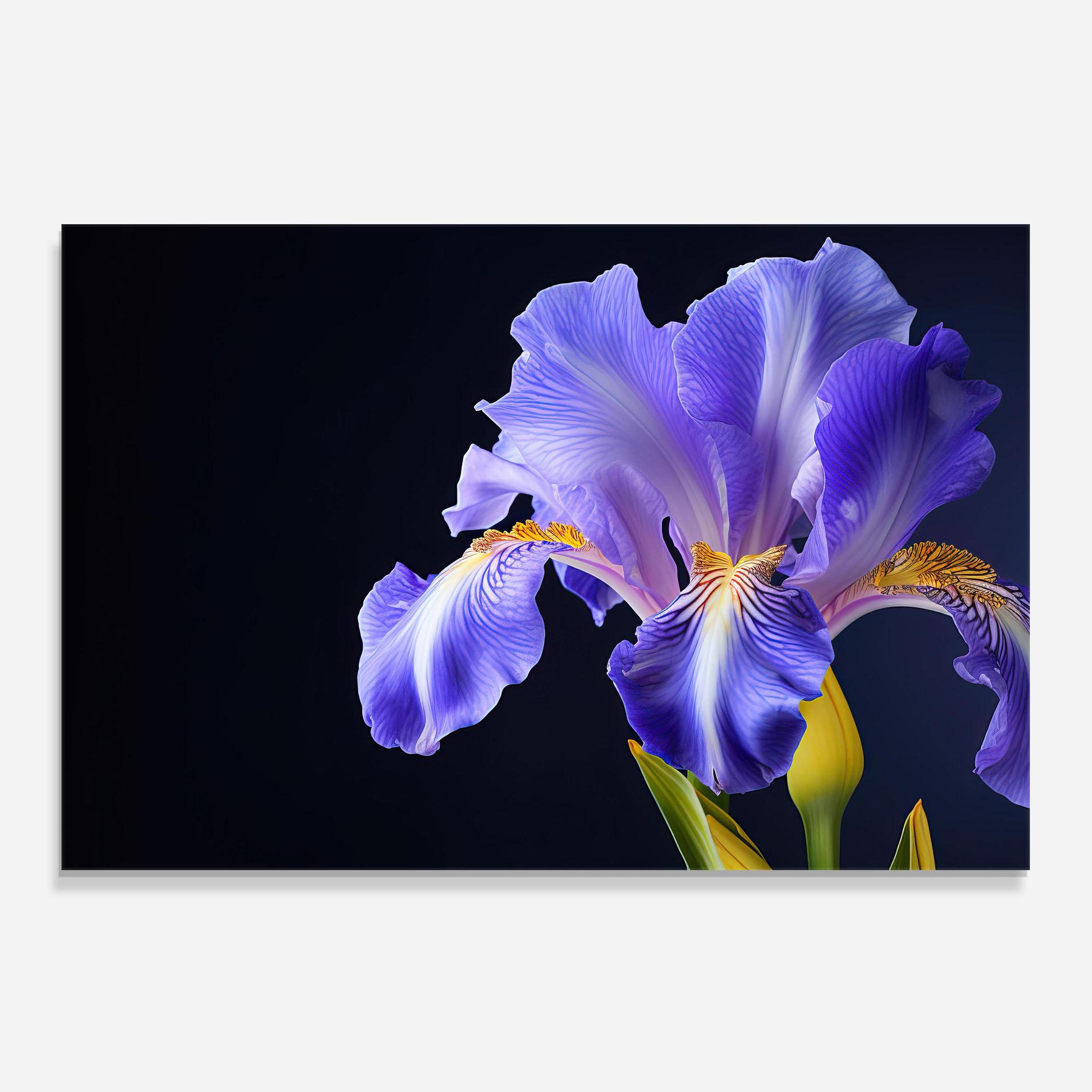 Panou Sticla Bucatarie Purple Iris On Black mockup 0