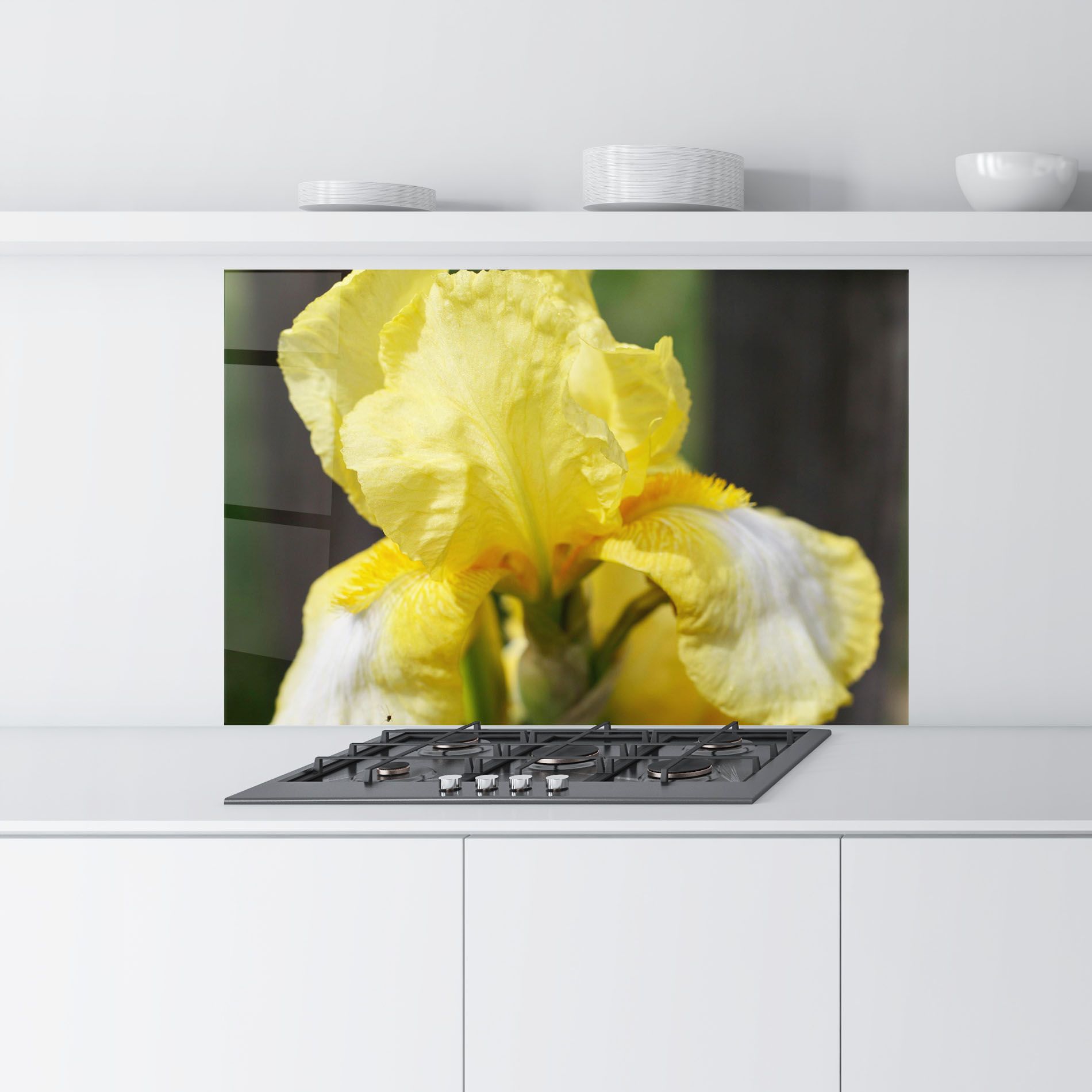 Garden Yellow Iris mockup 9