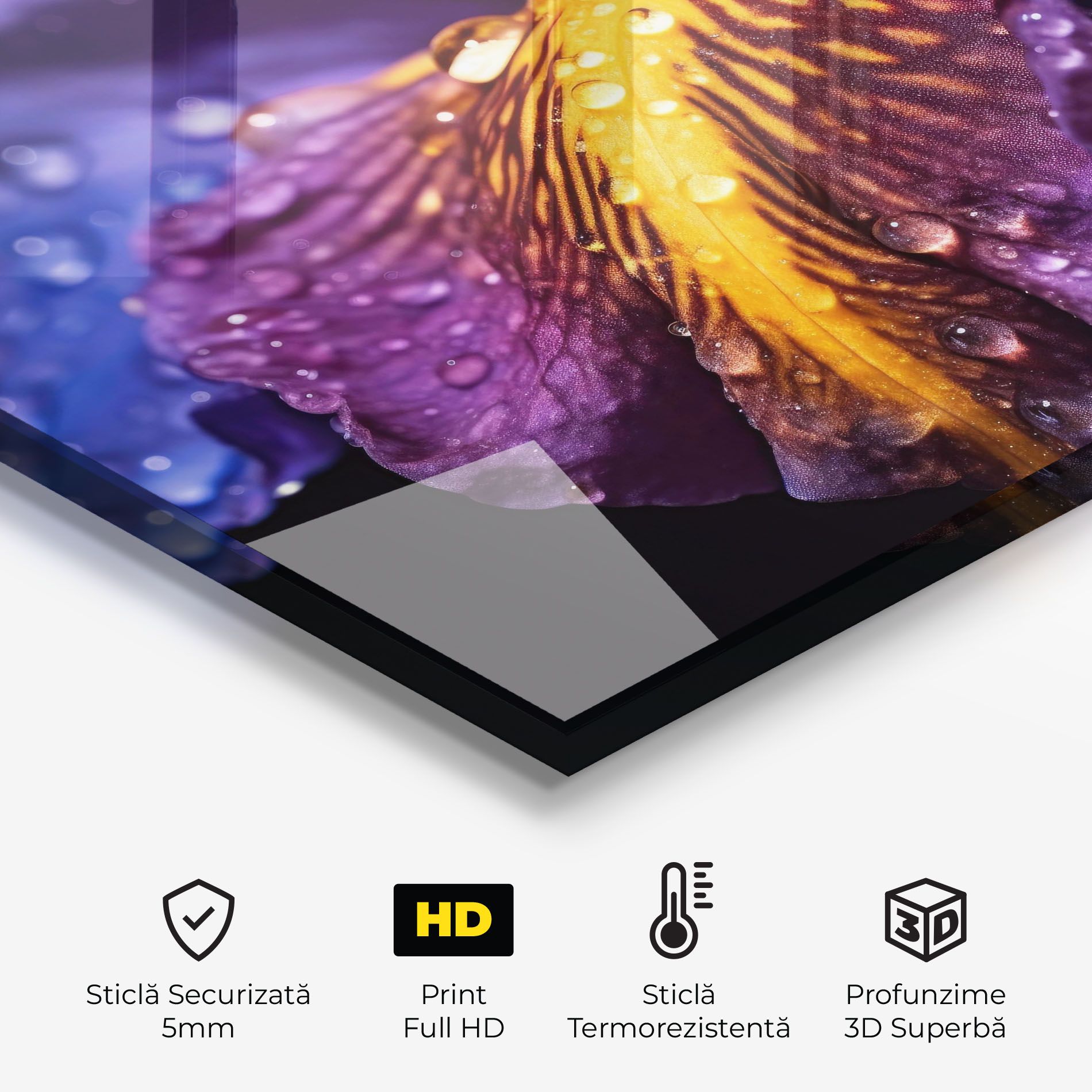 Close Up Iris After Rain mockup 2