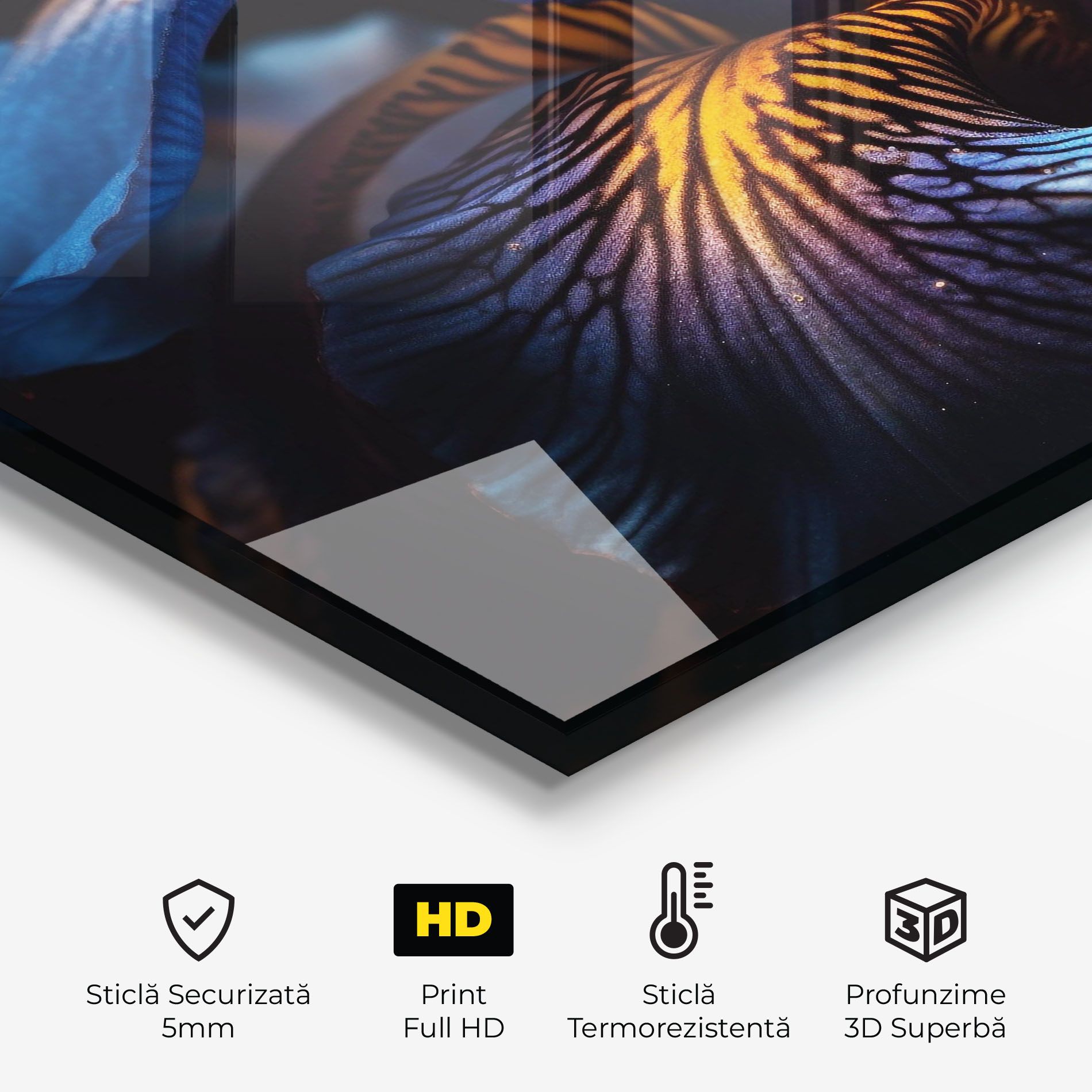 Dark Yellow Iris mockup 2