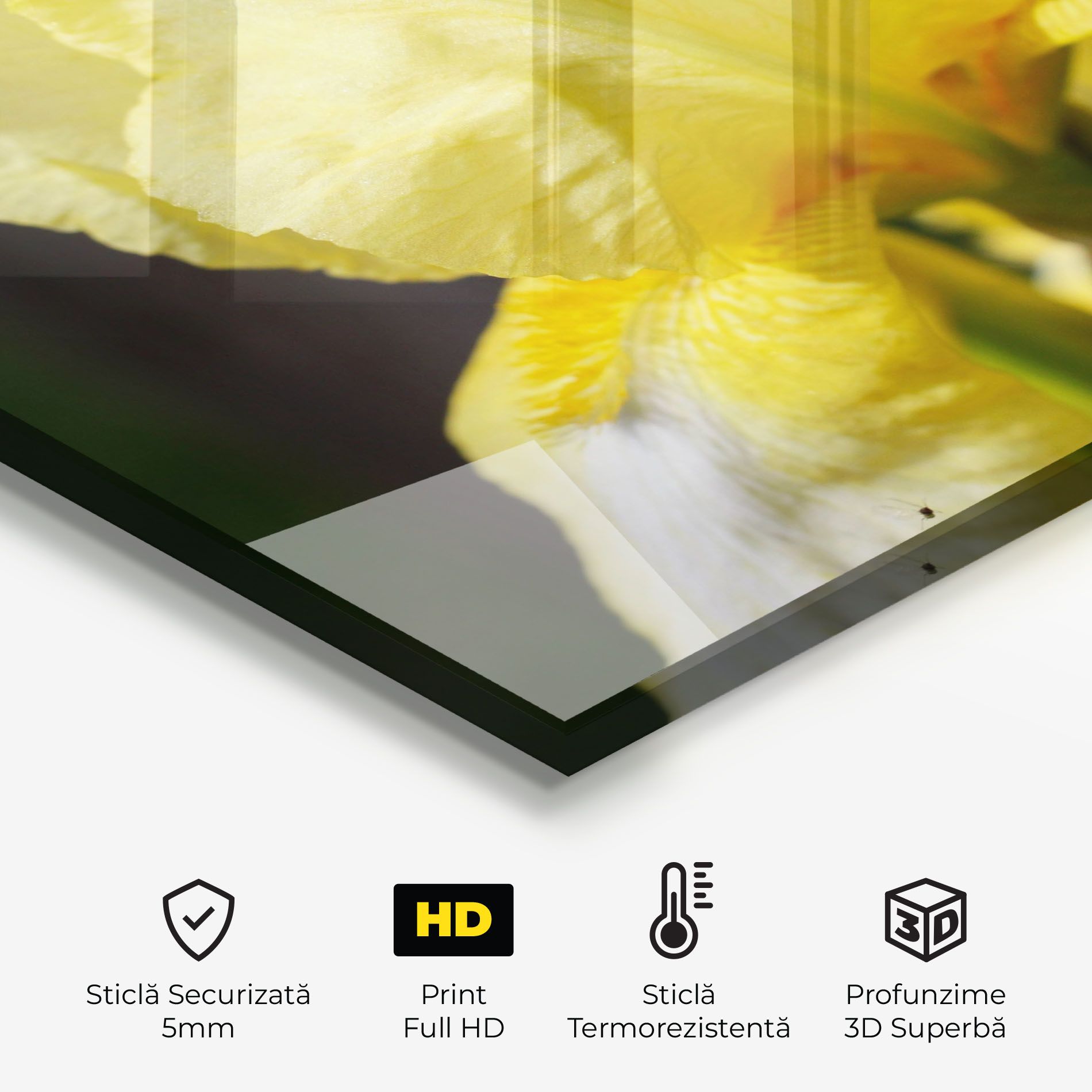 Garden Yellow Iris mockup 2