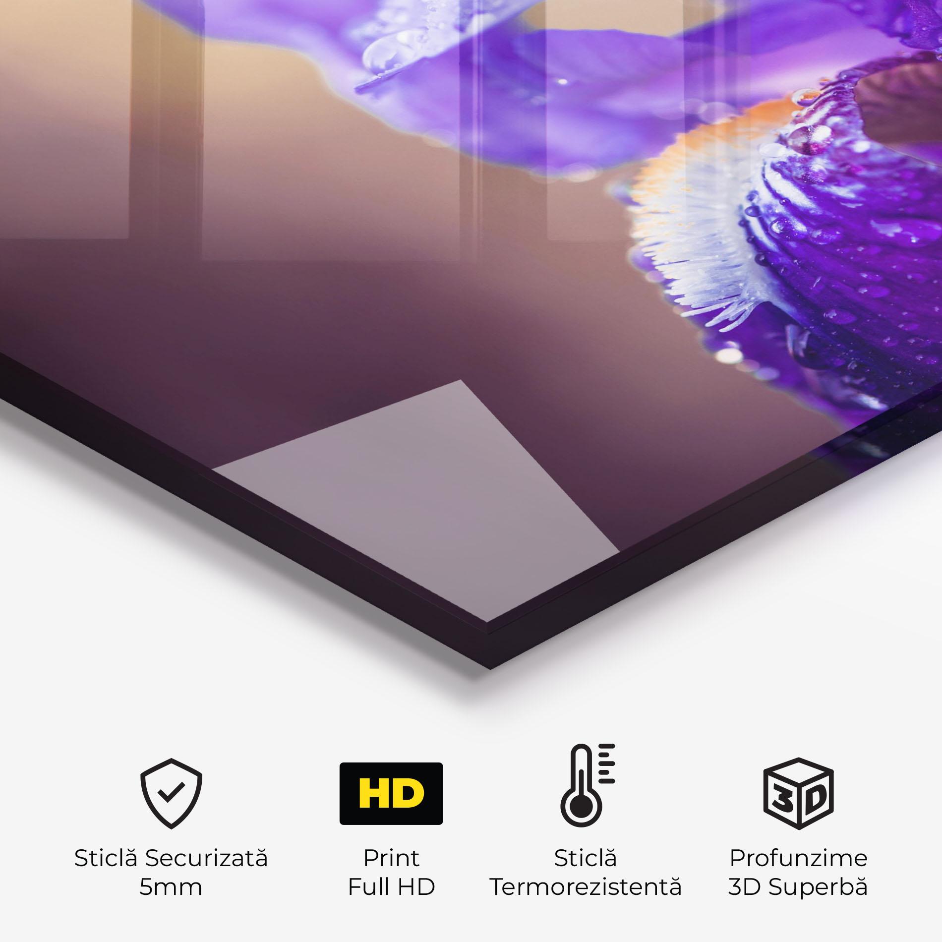 Panou Sticla Bucatarie Iris Aftger Rain mockup 2