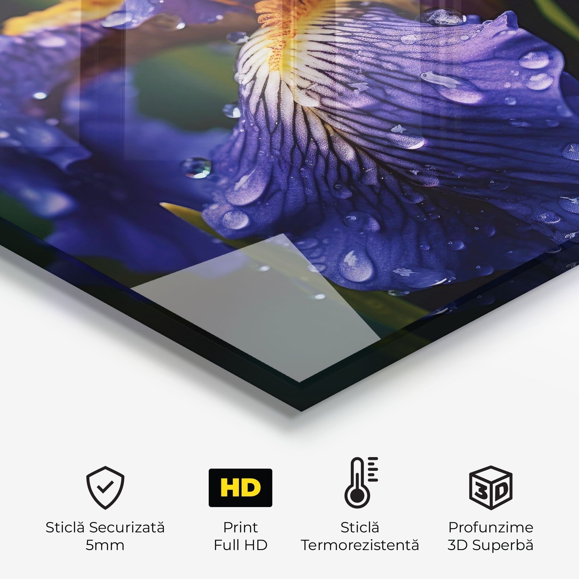 Iris Close Up Aftrer Rain mockup 2