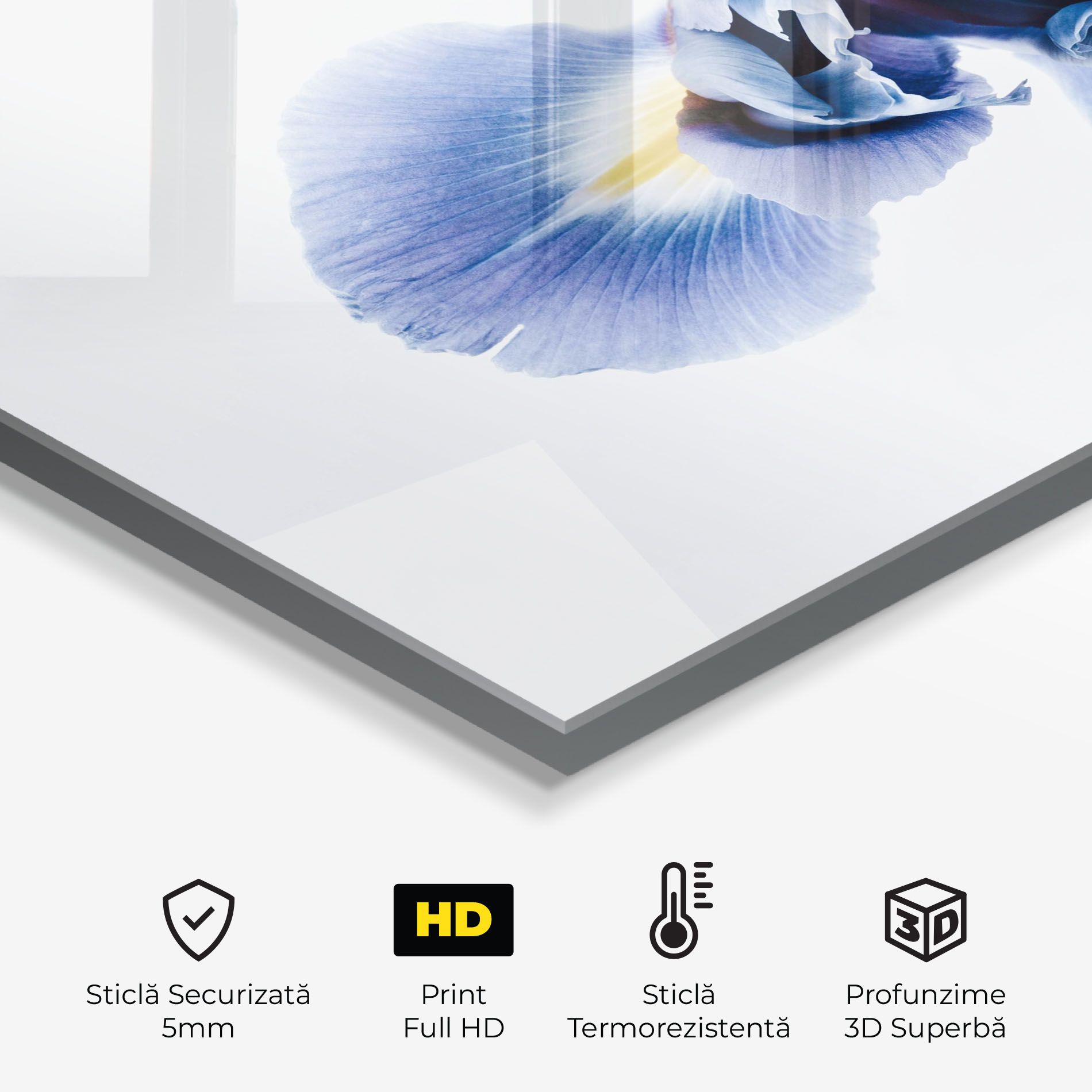 Iris Flower mockup 2