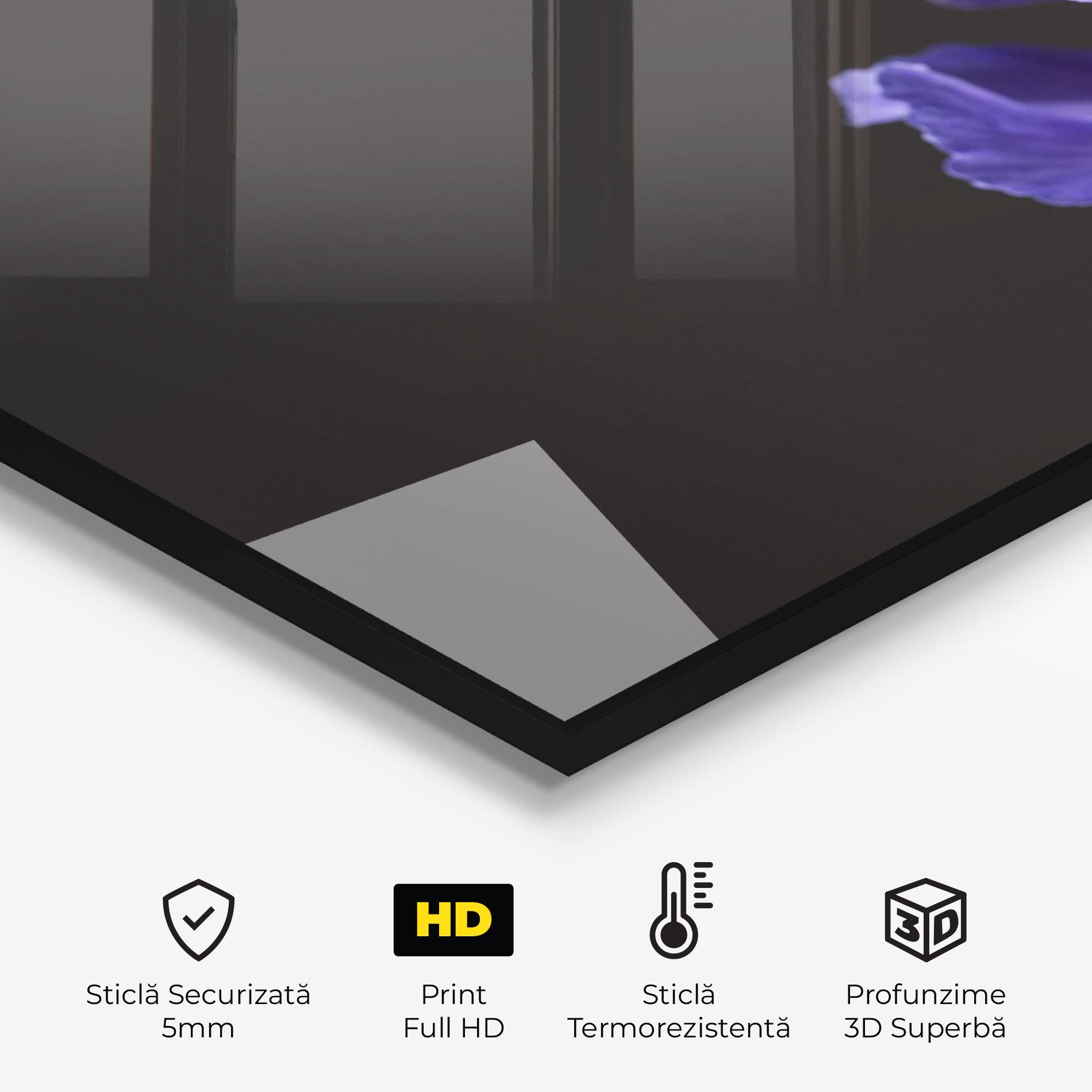 Panou Sticla Bucatarie Iris On Black mockup 2