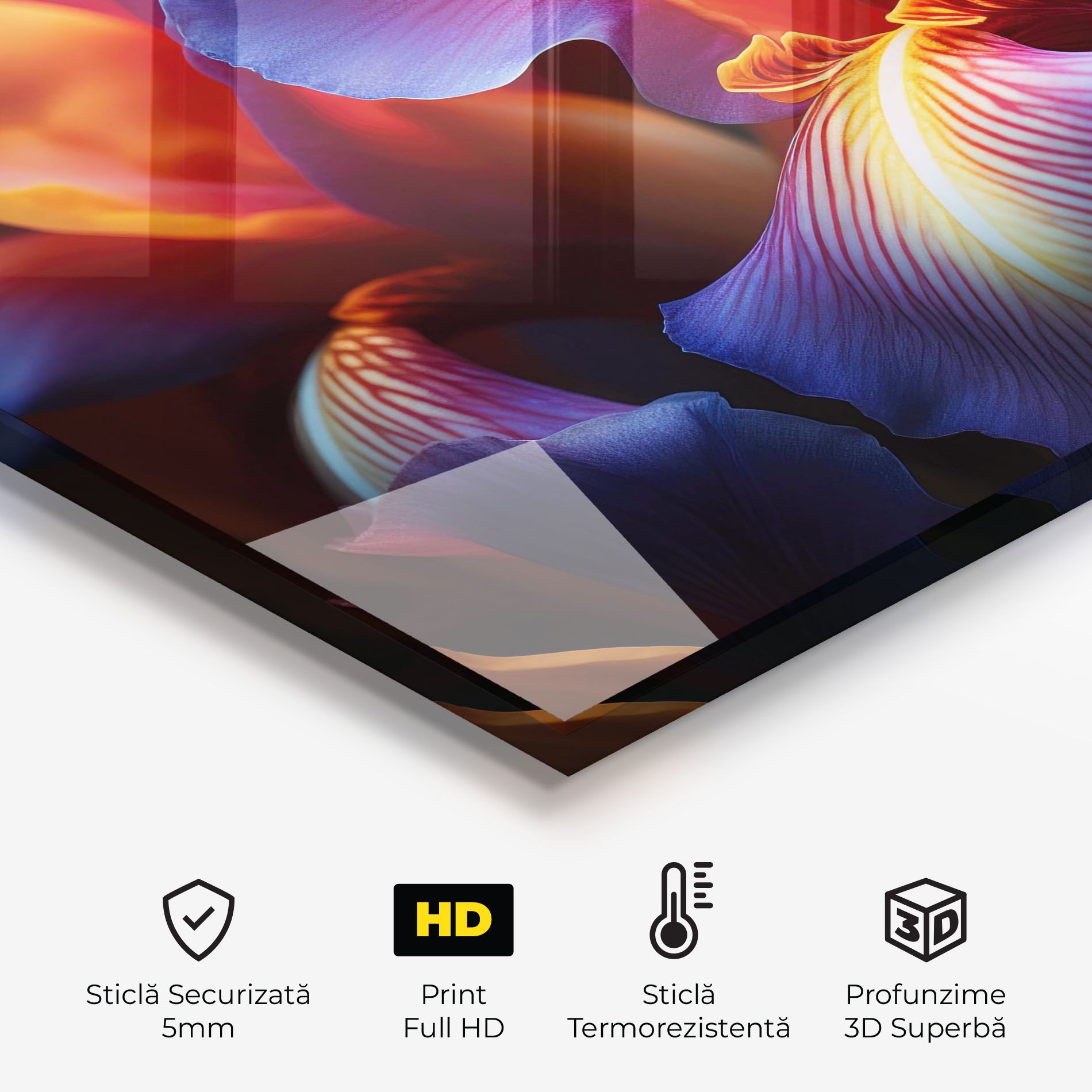 Orange Purple Iris mockup 2