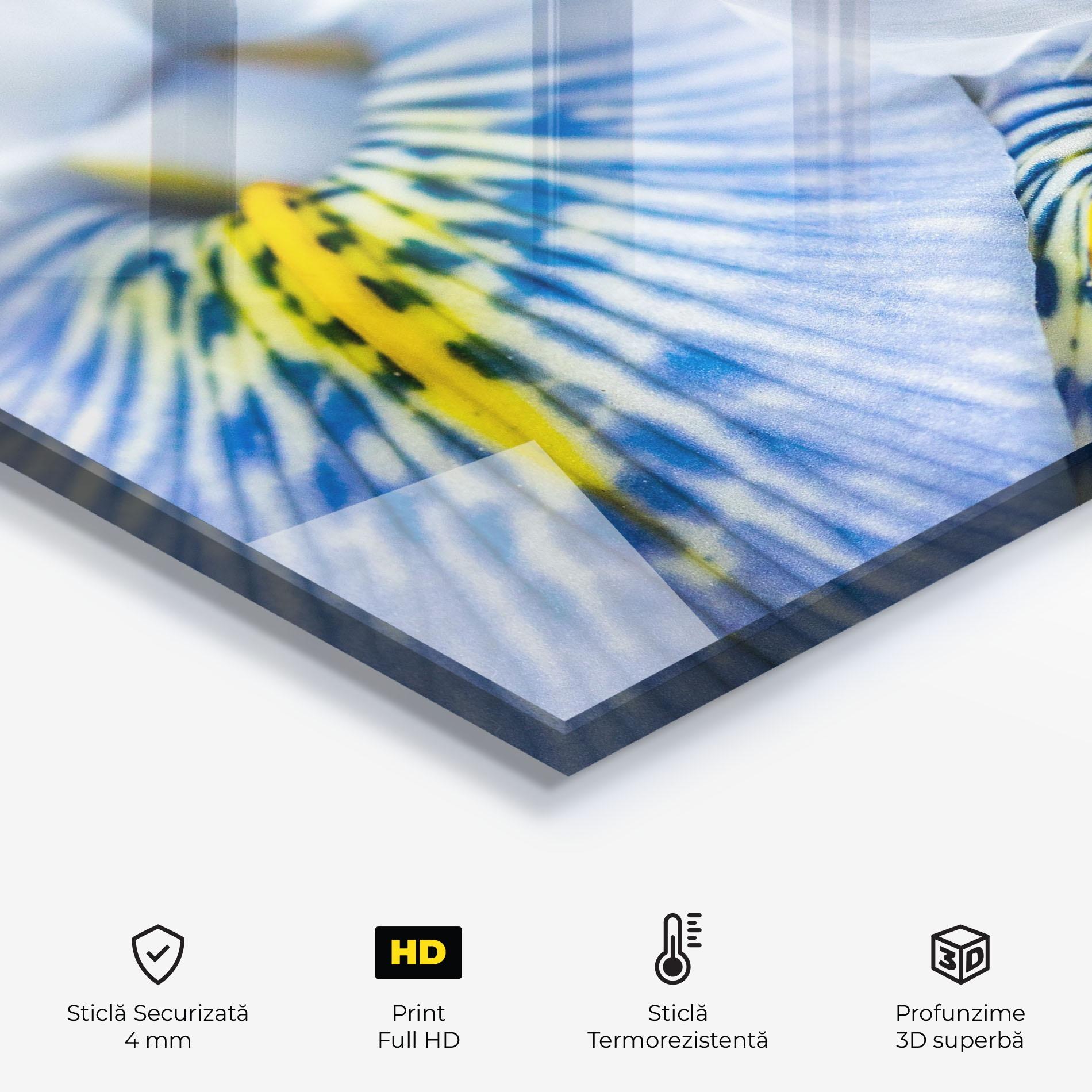 Panou Sticla Bucatarie Blue Yellow Iris mockup 2