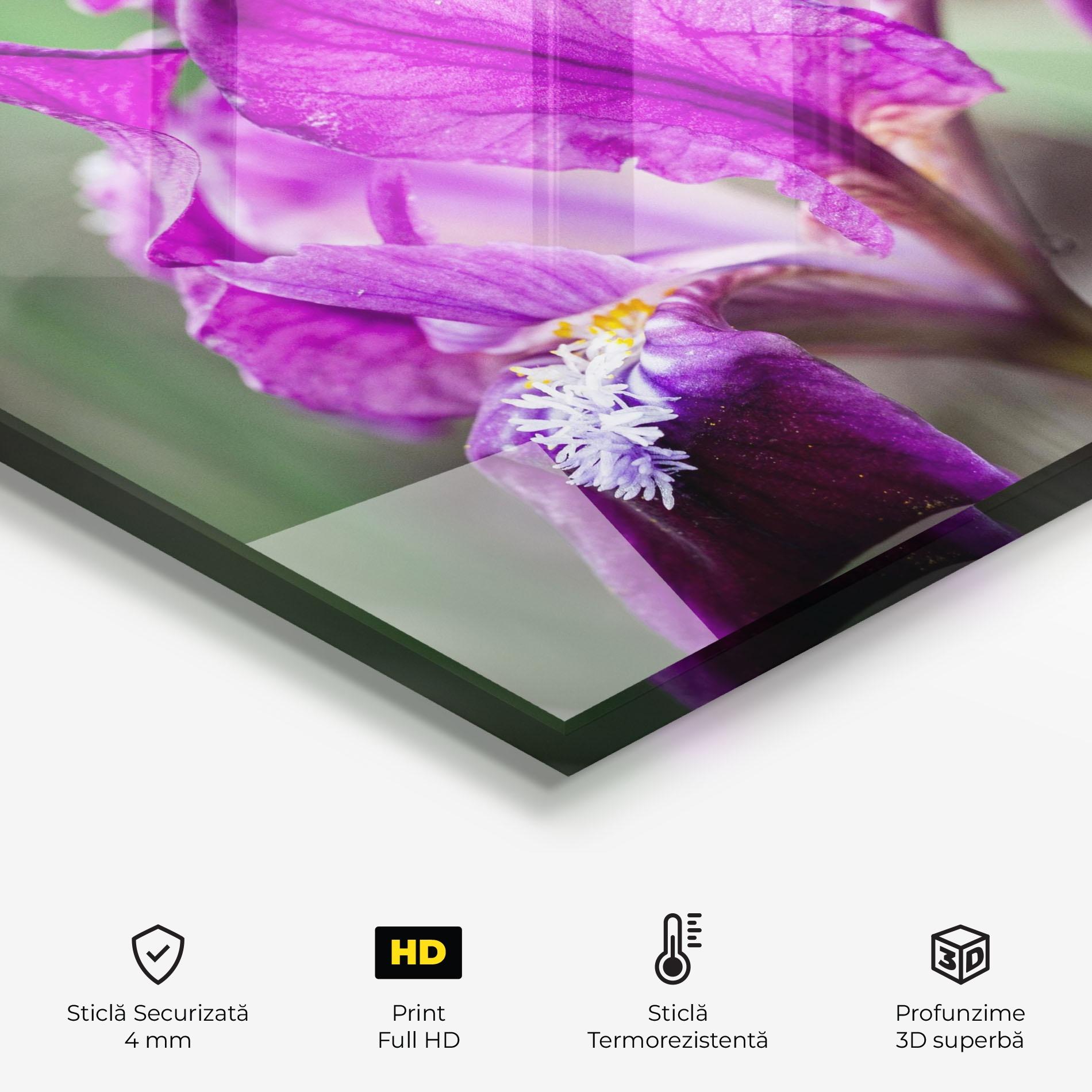 Panou Sticla Bucatarie Dark Pink Iris mockup 2