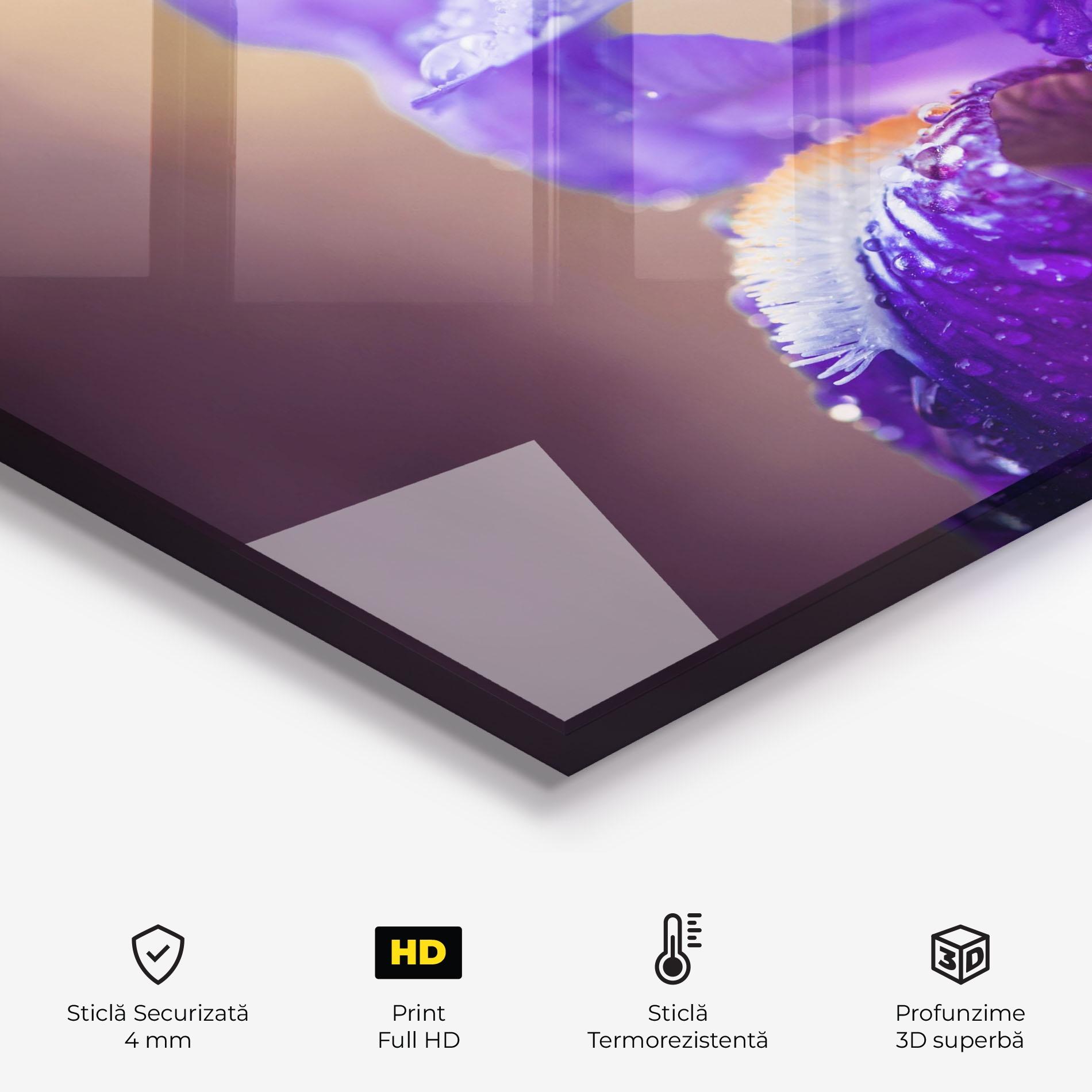 Panou Sticla Bucatarie Iris Aftger Rain mockup 2