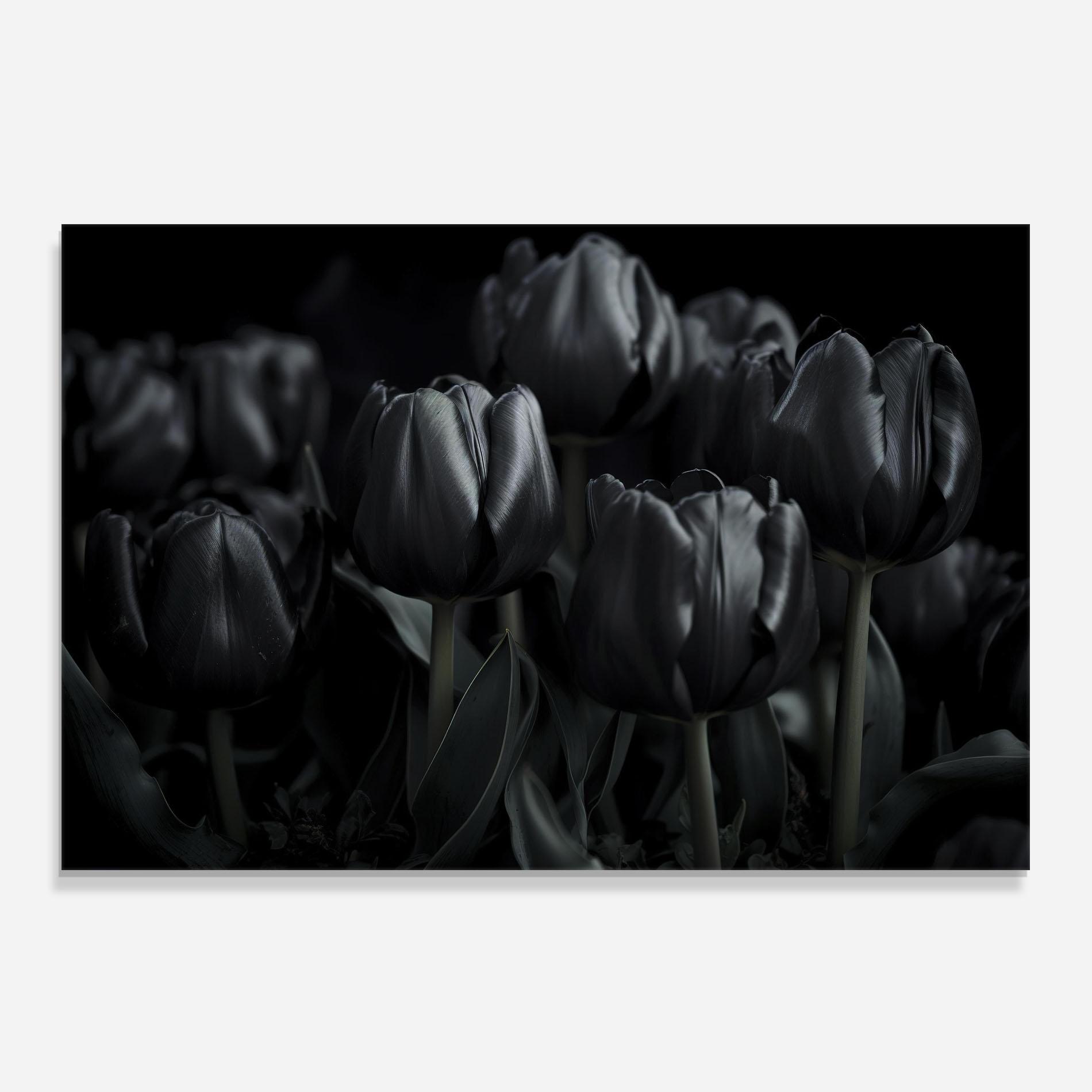 Panou Sticla Bucatarie Black Tulips mockup 0