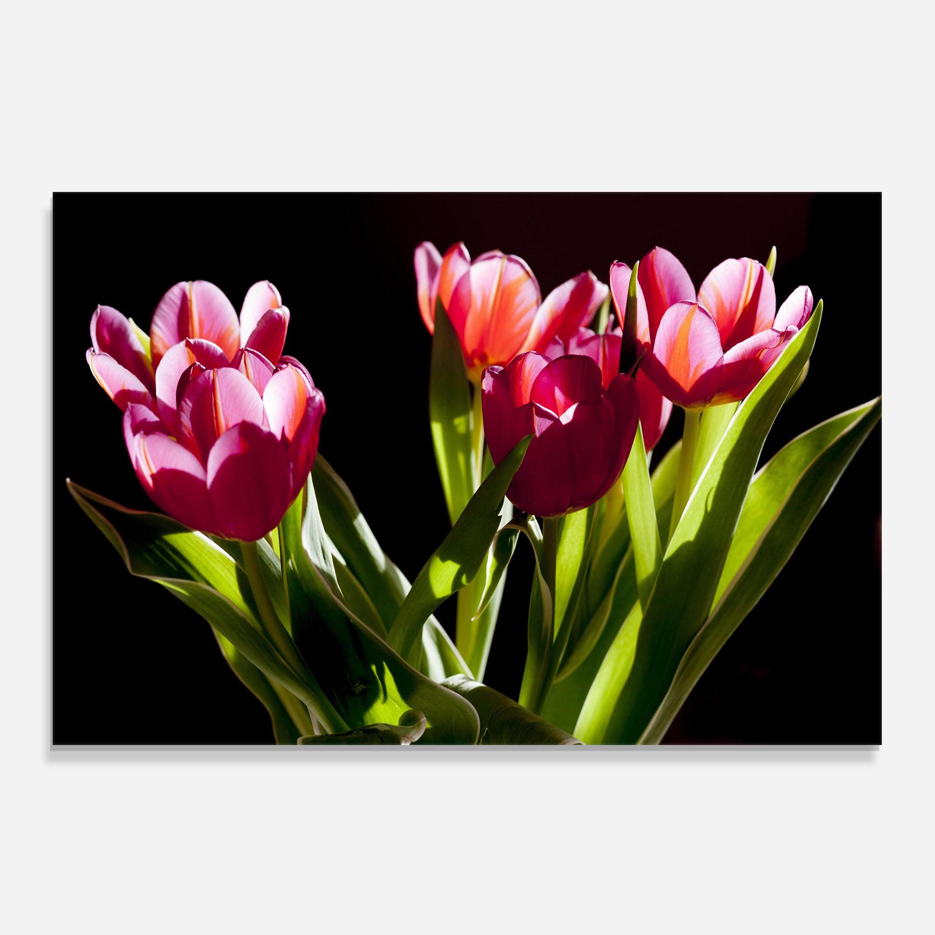 Panou Sticla Bucatarie Dark Pink Tulips mockup 0
