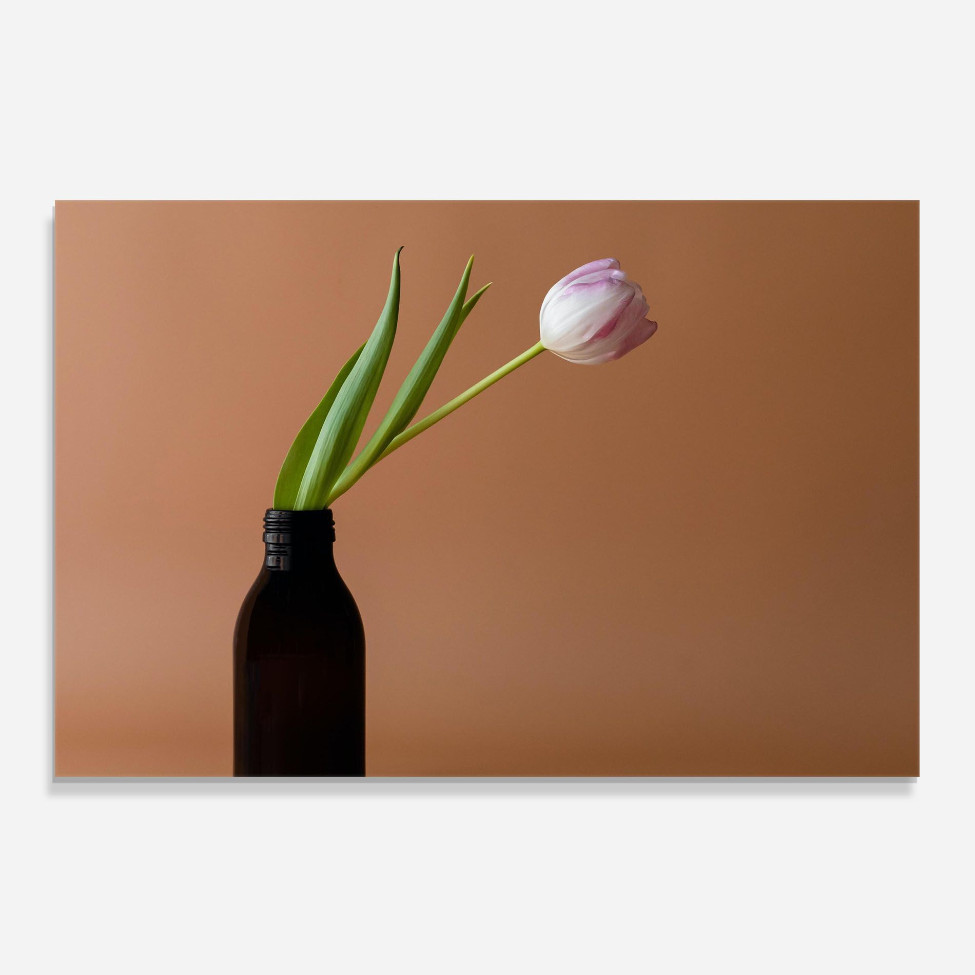 One Pink Tulip mockup 0
