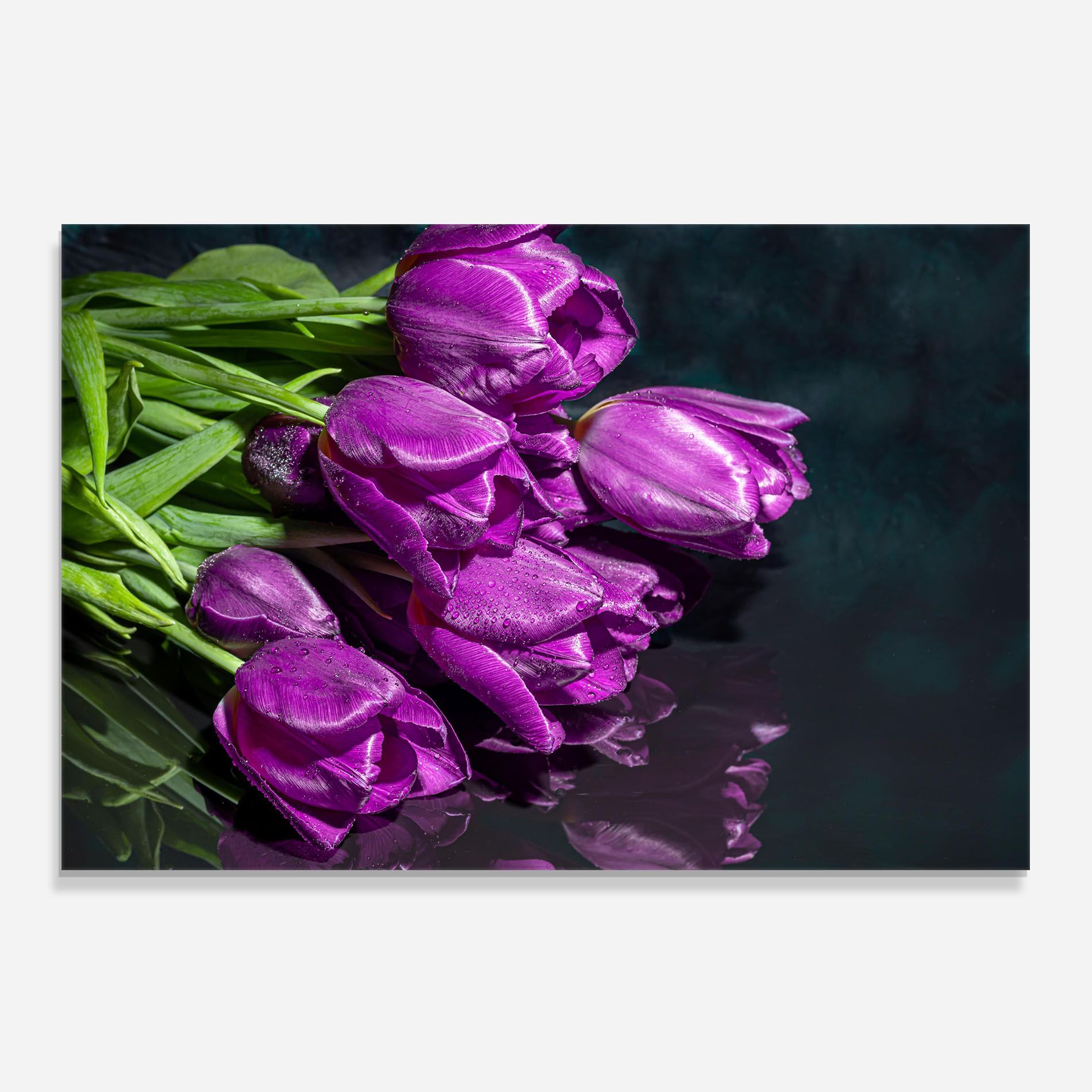 Strong Purple Tulips mockup 0