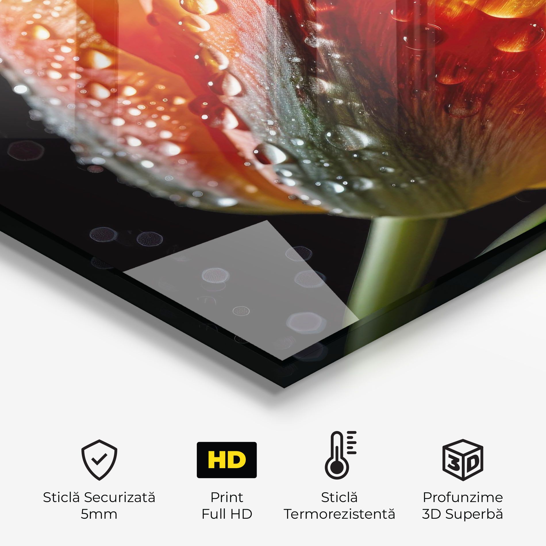 Big Wet Orange Tulip mockup 2