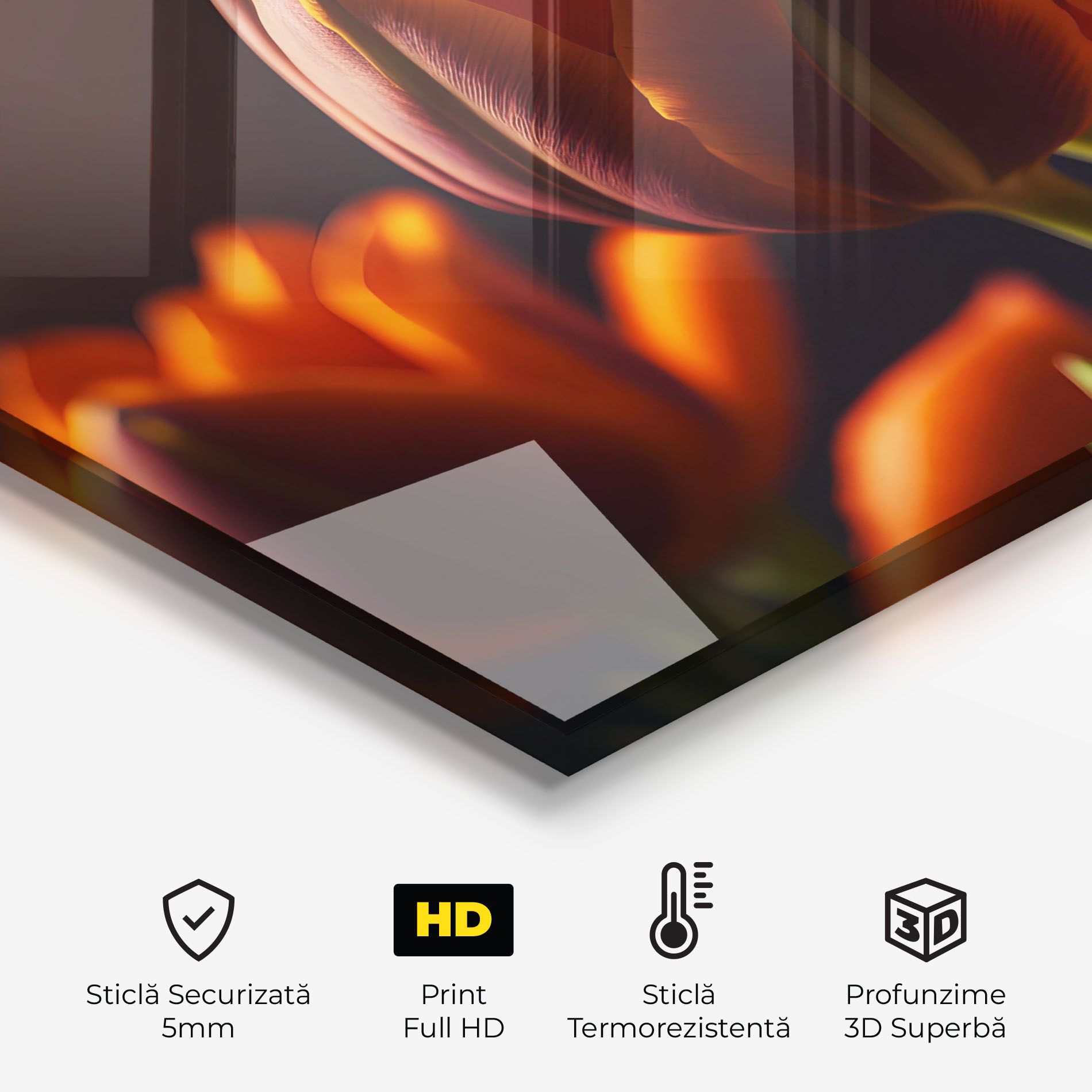 Close Up Orange Tulip mockup 2