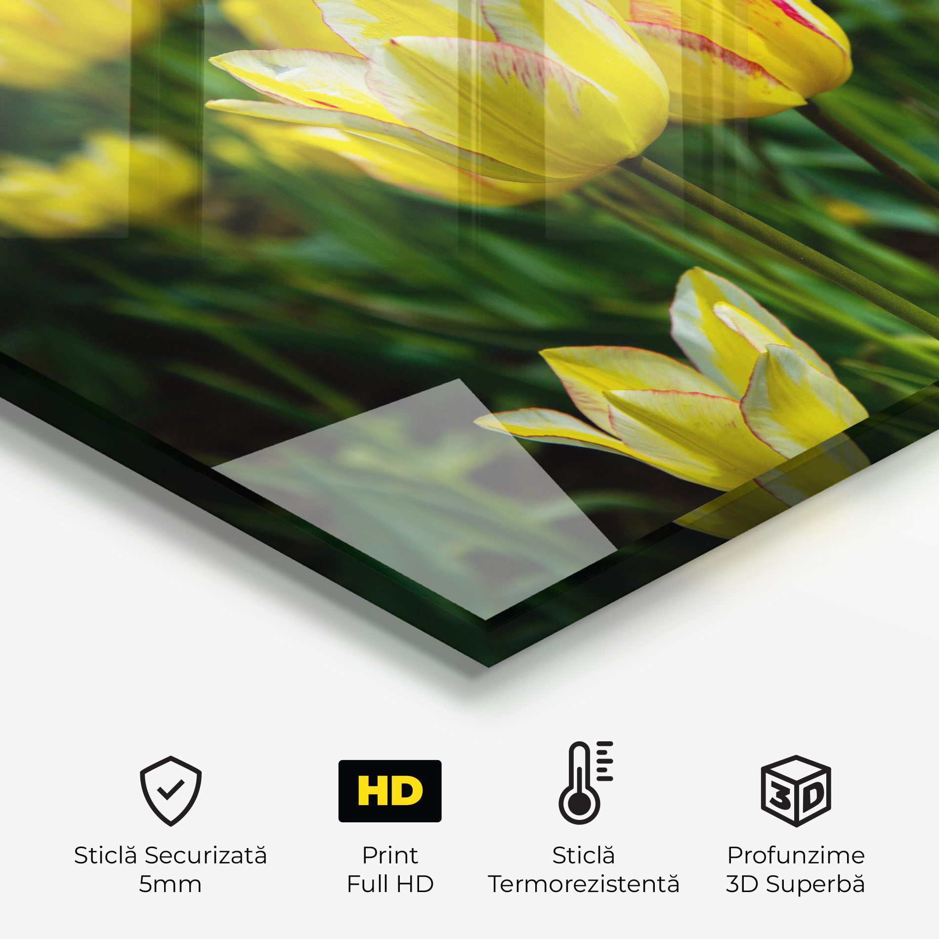 Light Yellow Tulips mockup 2
