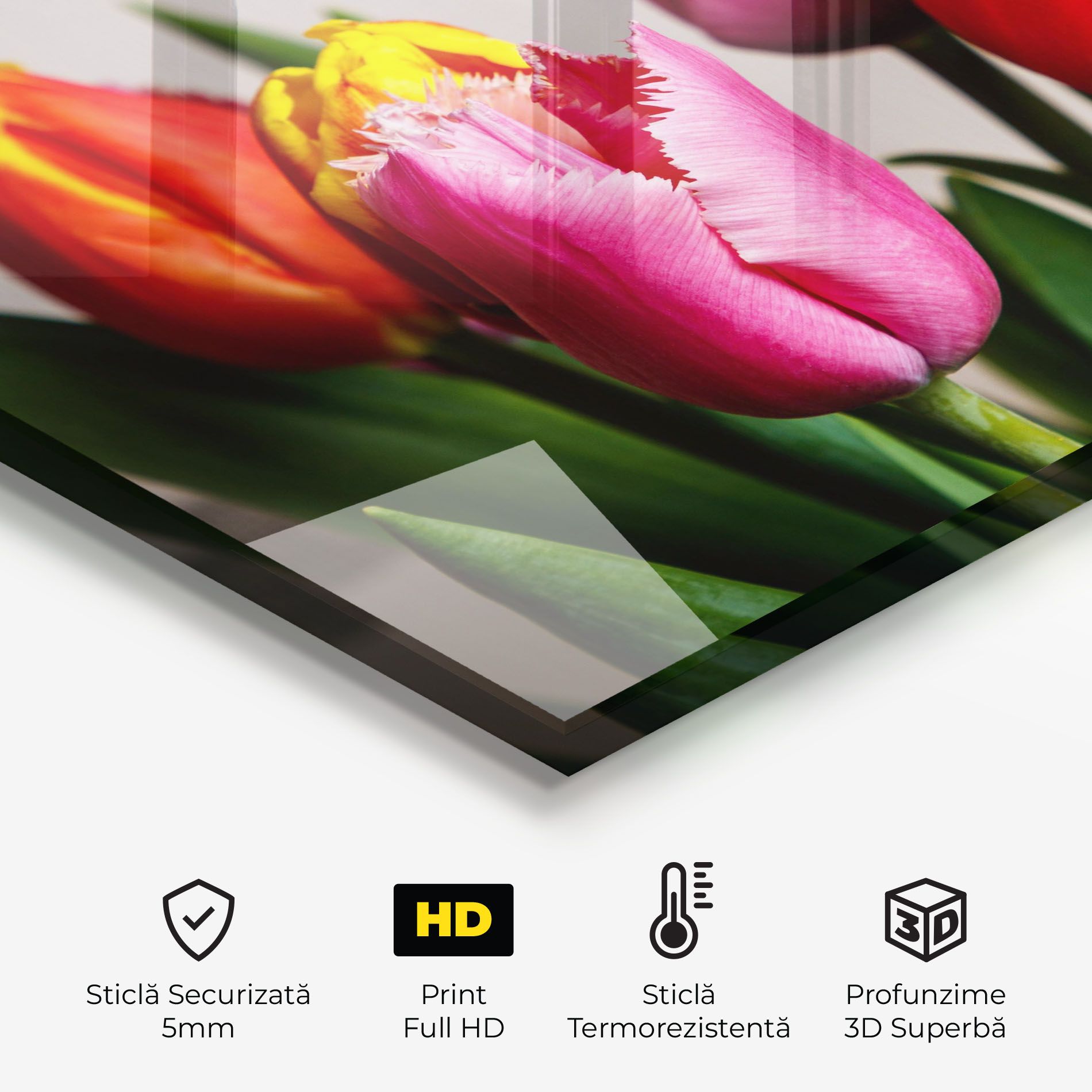 Pink Orange Tulips mockup 2