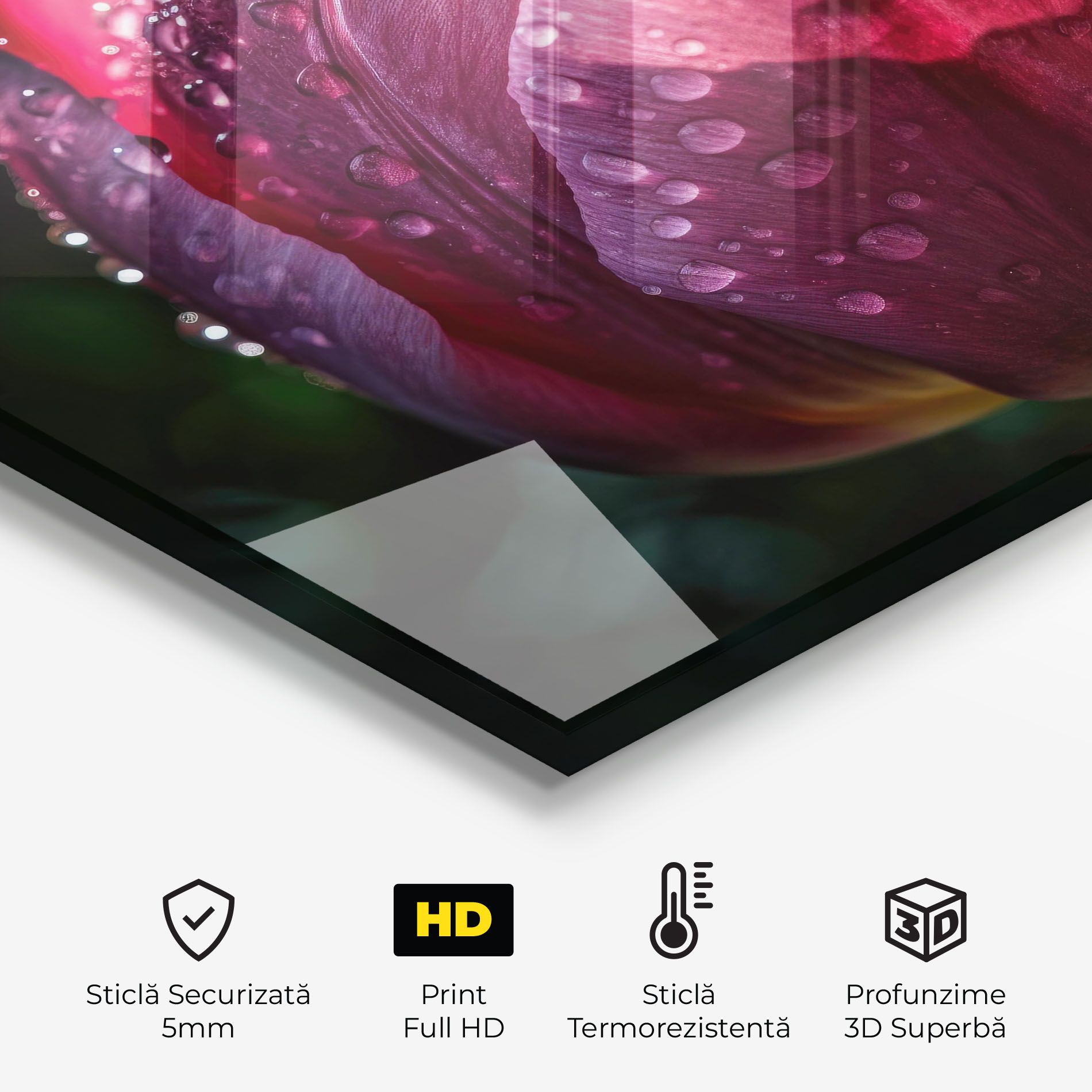 Pink Tulip After Rain mockup 2