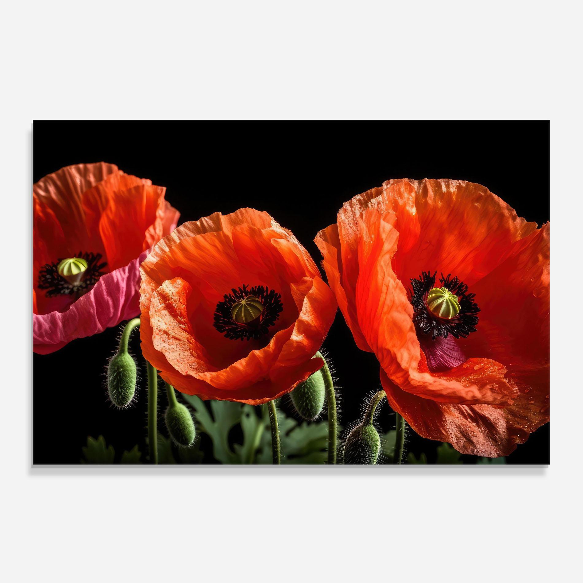 Panou Sticla Bucatarie Dark Orange Poppies mockup 0