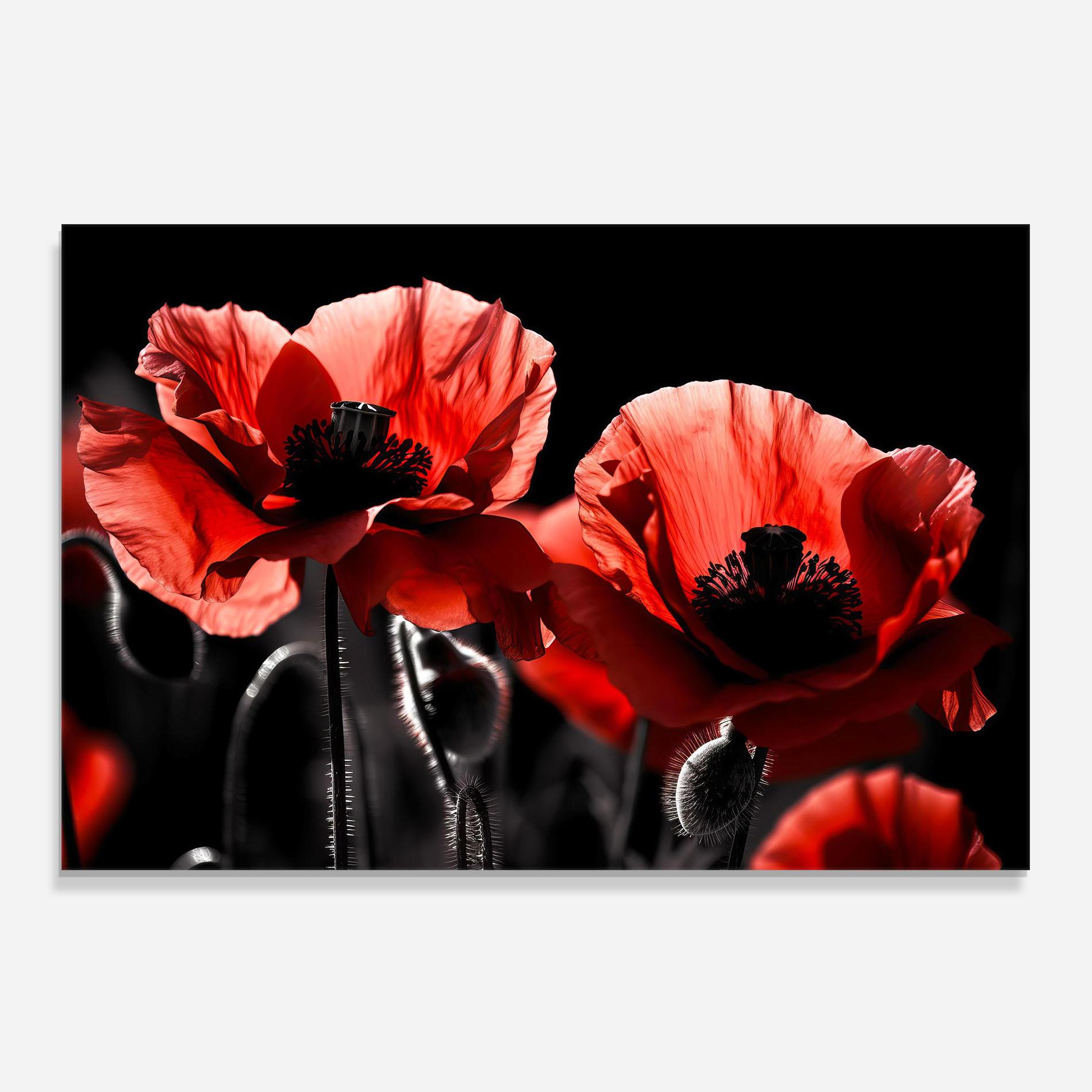Panou Sticla Bucatarie Light Red Poppy On Black mockup 0