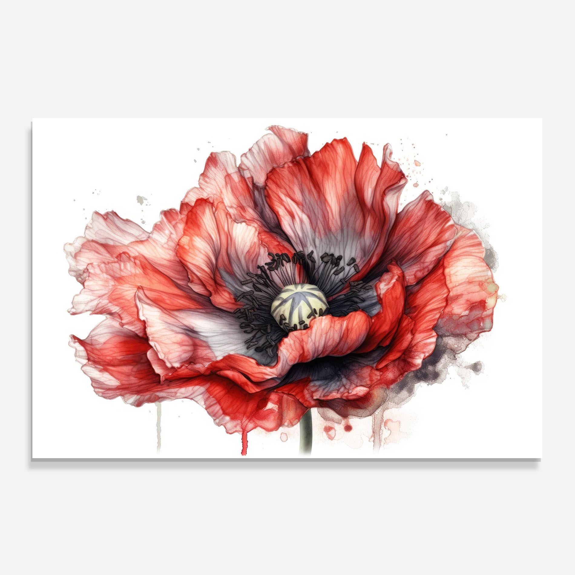 Painted Red Poppy mockup 0