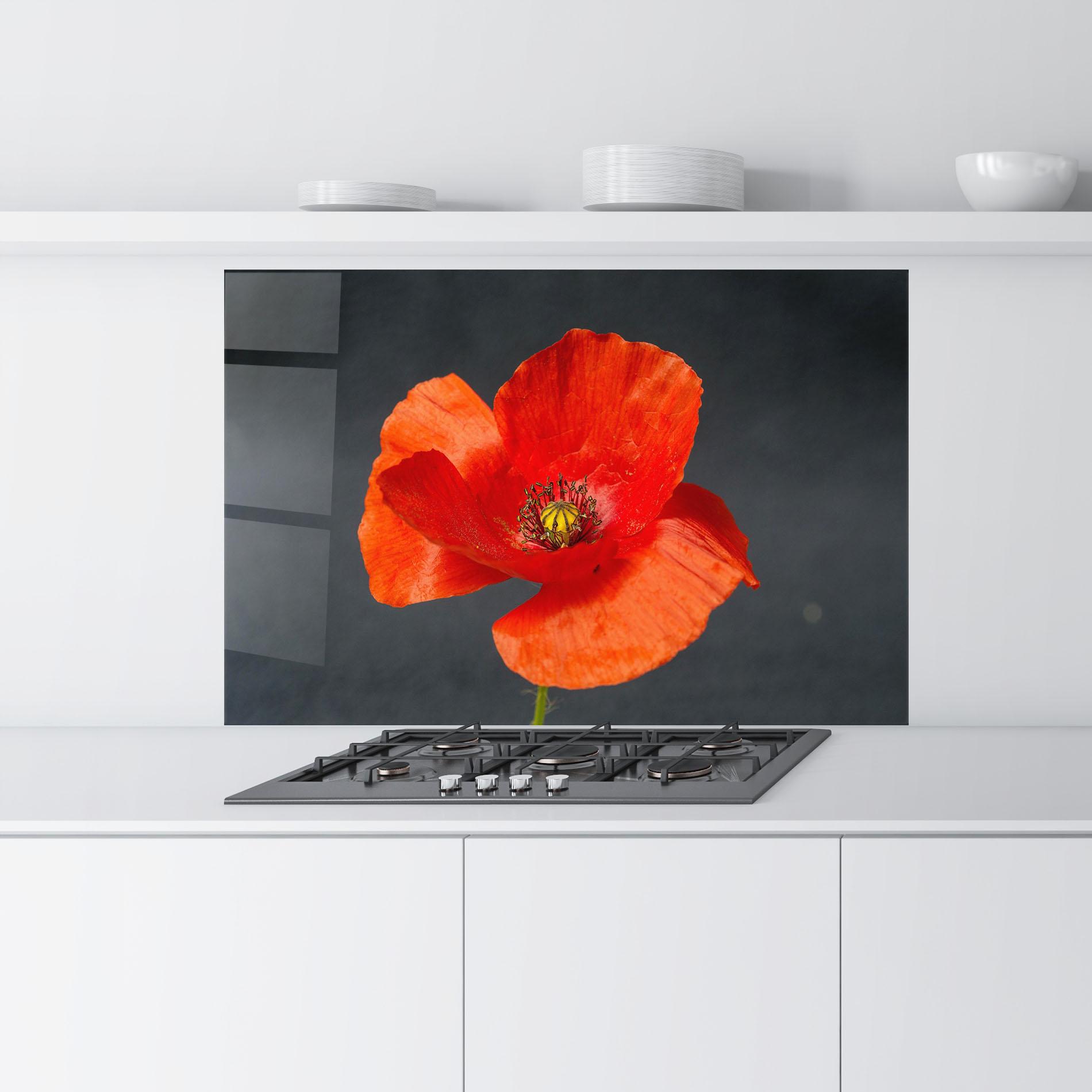 Panou Sticla Bucatarie Light Red Poppy mockup 9