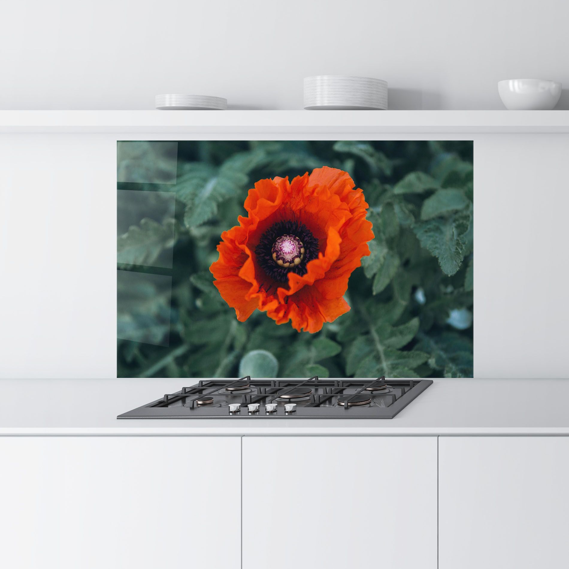 Poppy From The Garden mockup 9