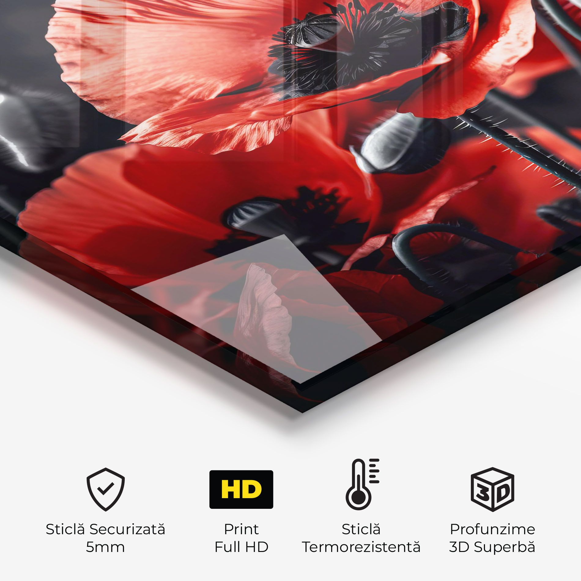 Black Red Poppy View mockup 2