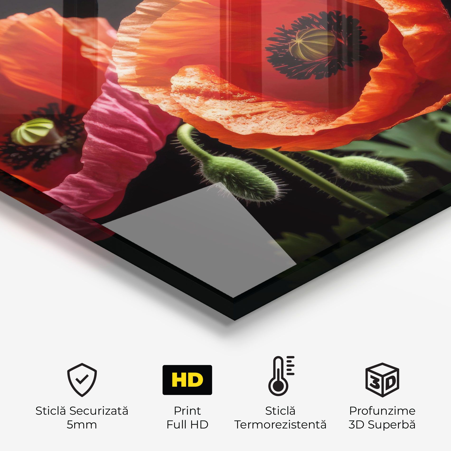 Dark Orange Poppies mockup 2