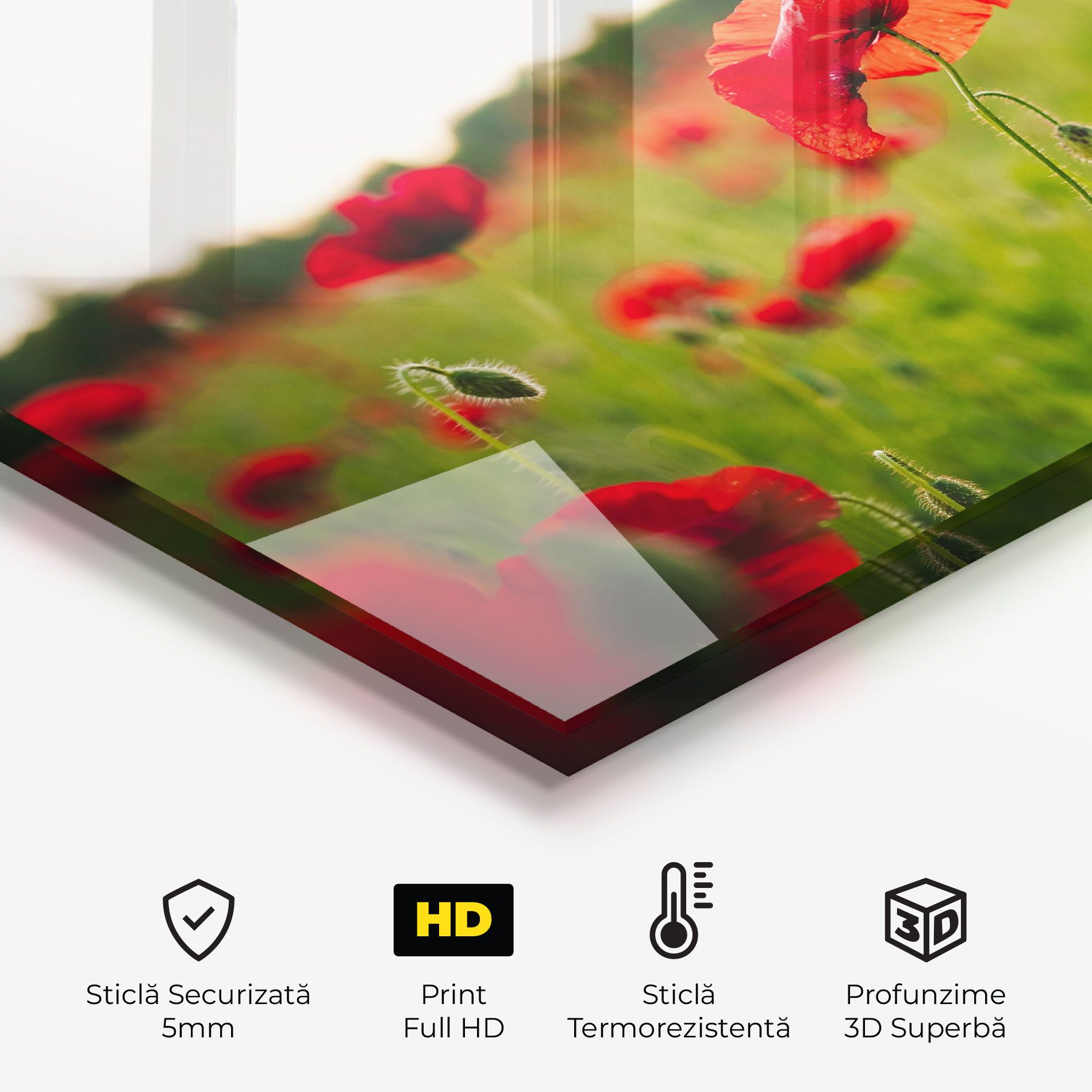 Poppies Field mockup 2