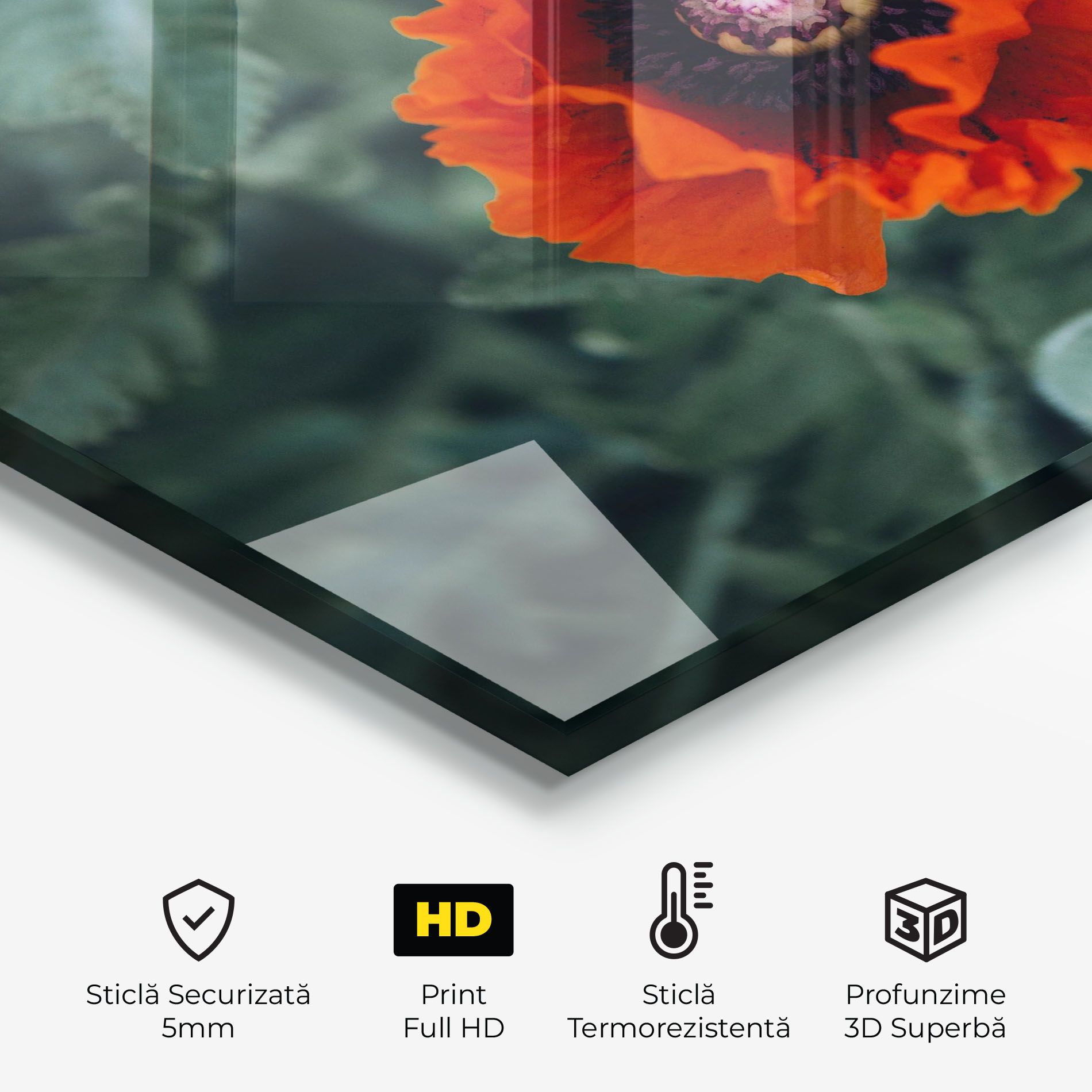 Poppy From The Garden mockup 2