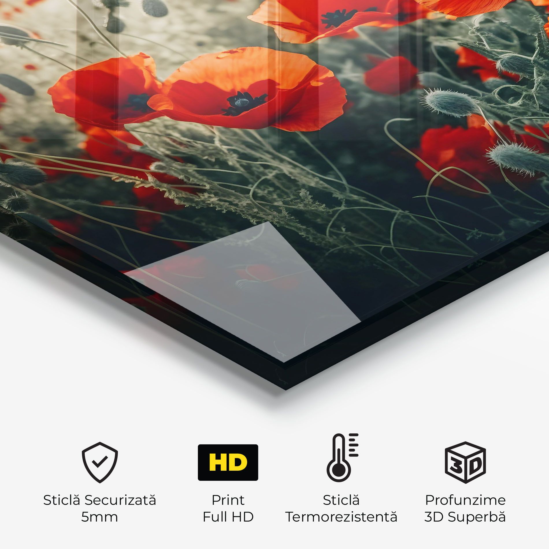 Poppy Grass Field mockup 2