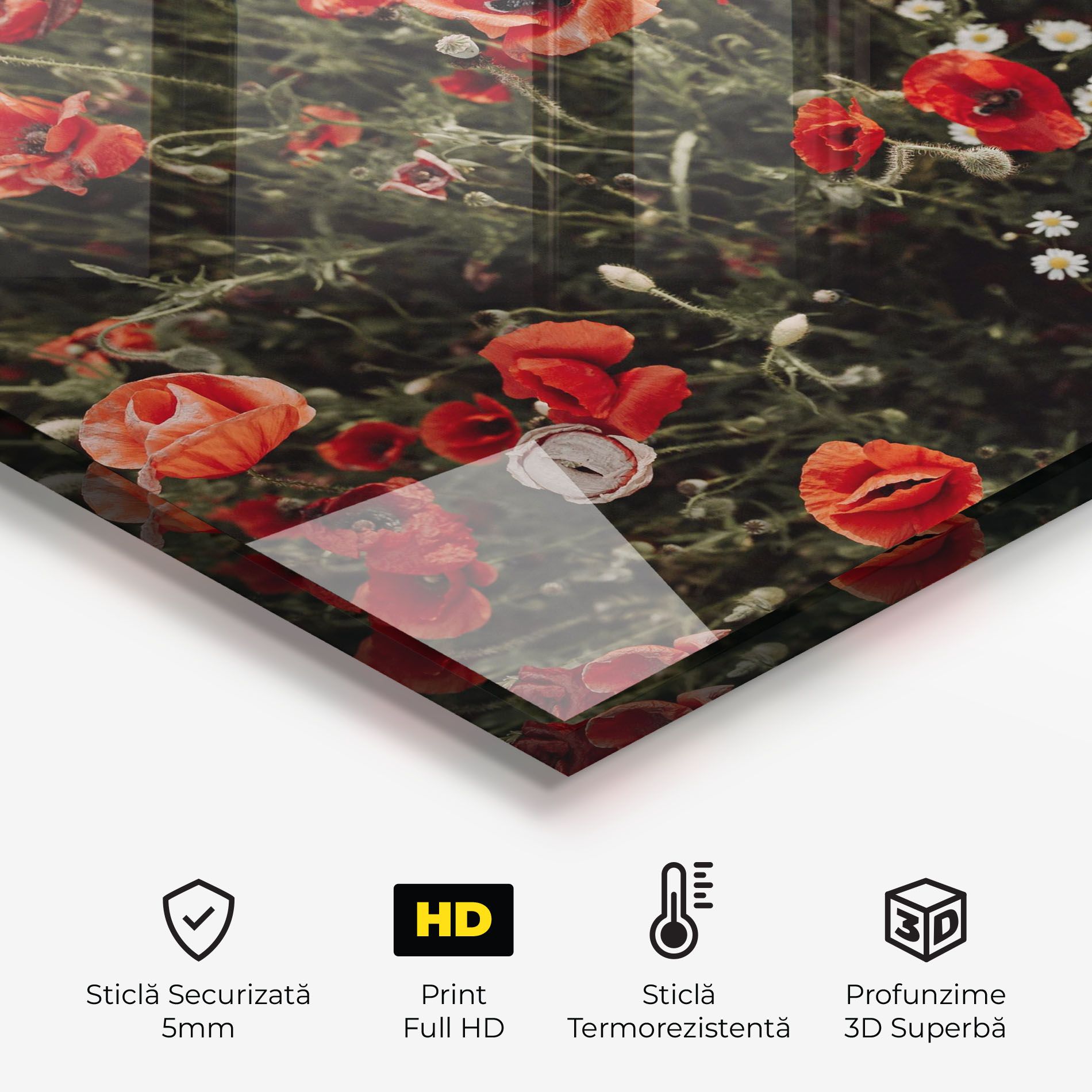 Pretty Poppies Field mockup 2