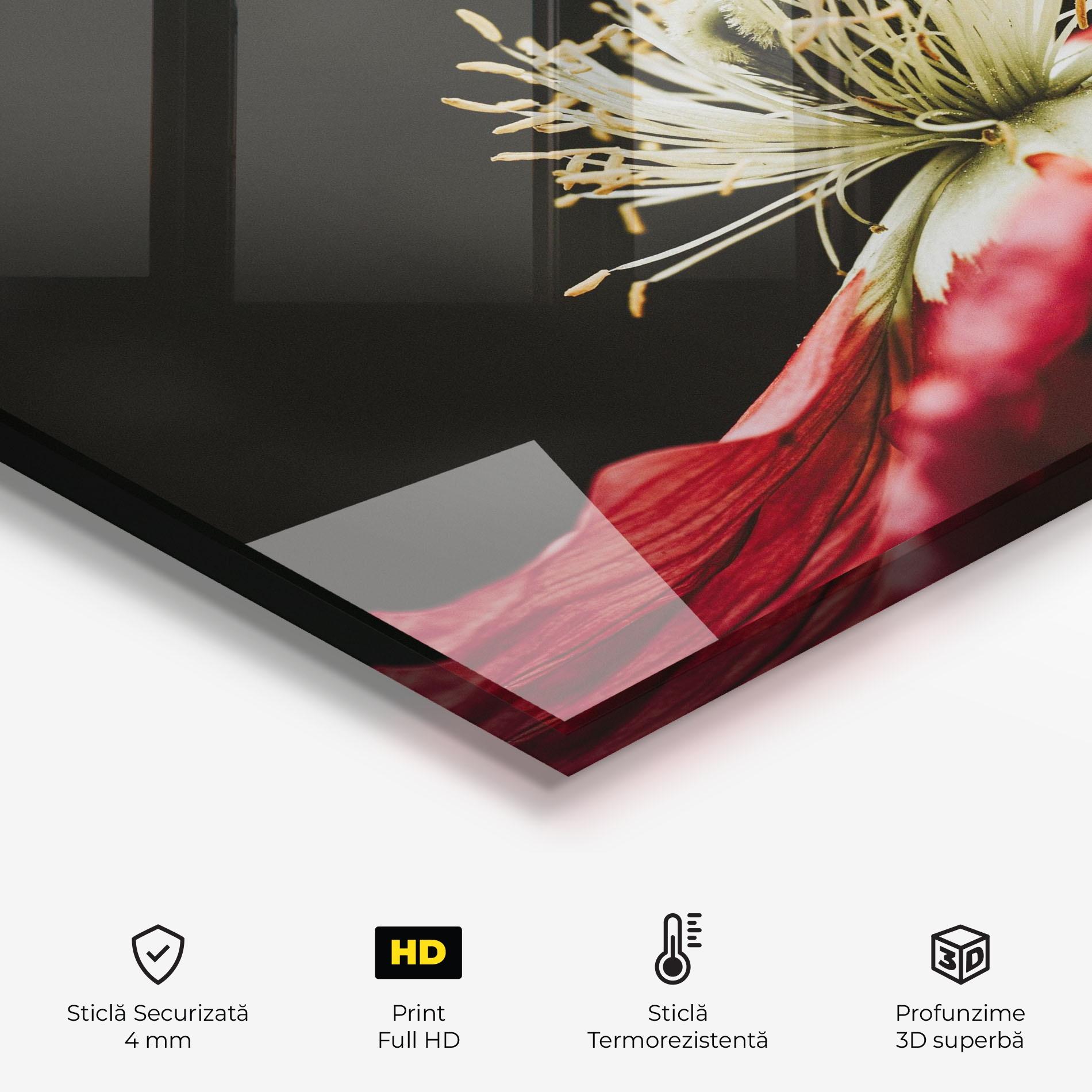 Panou Sticla Bucatarie Open Poppy Close Up mockup 2