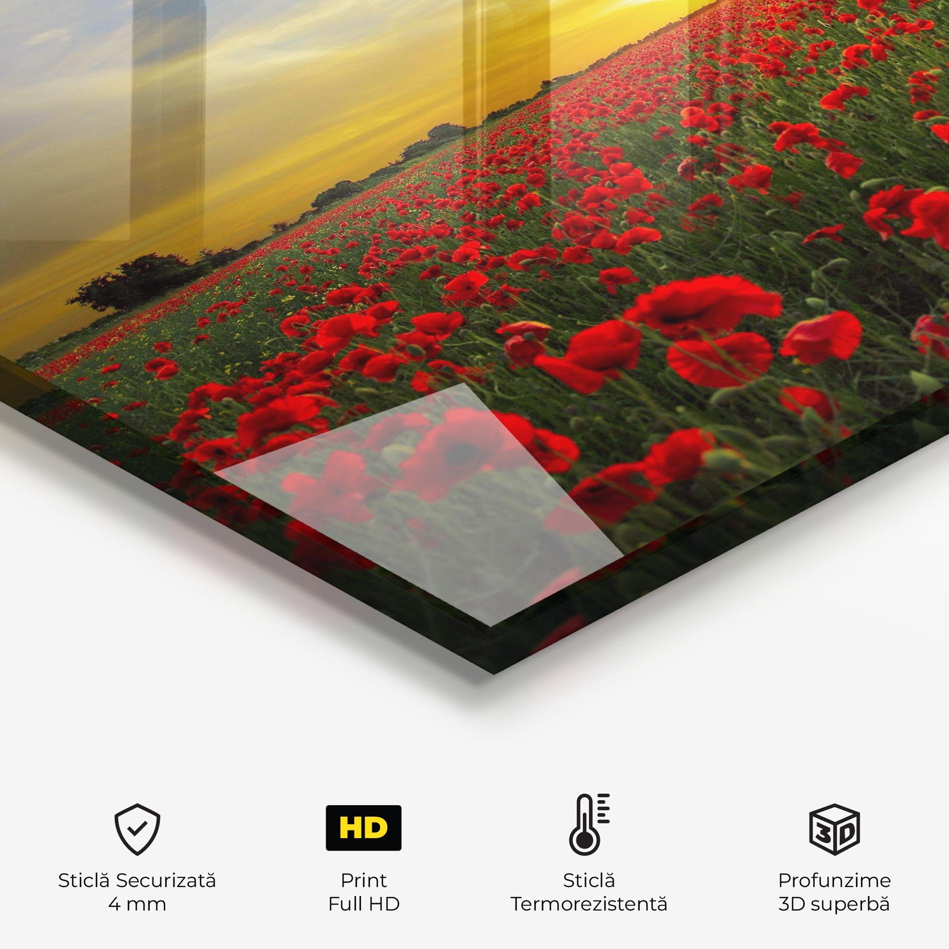 Panou Sticla Bucatarie Poppies Sunset mockup 2