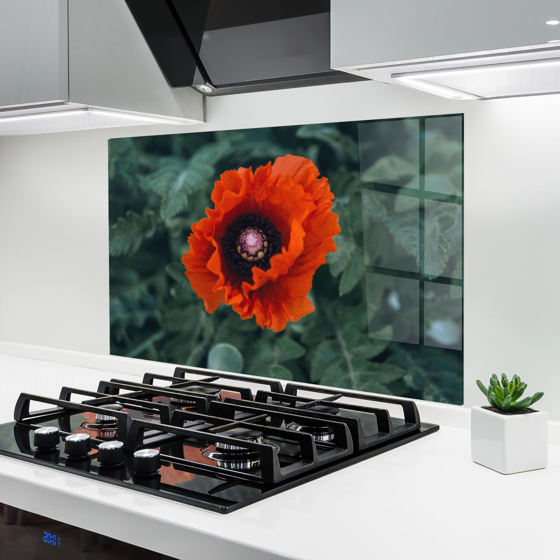 Poppy From The Garden mockup 6