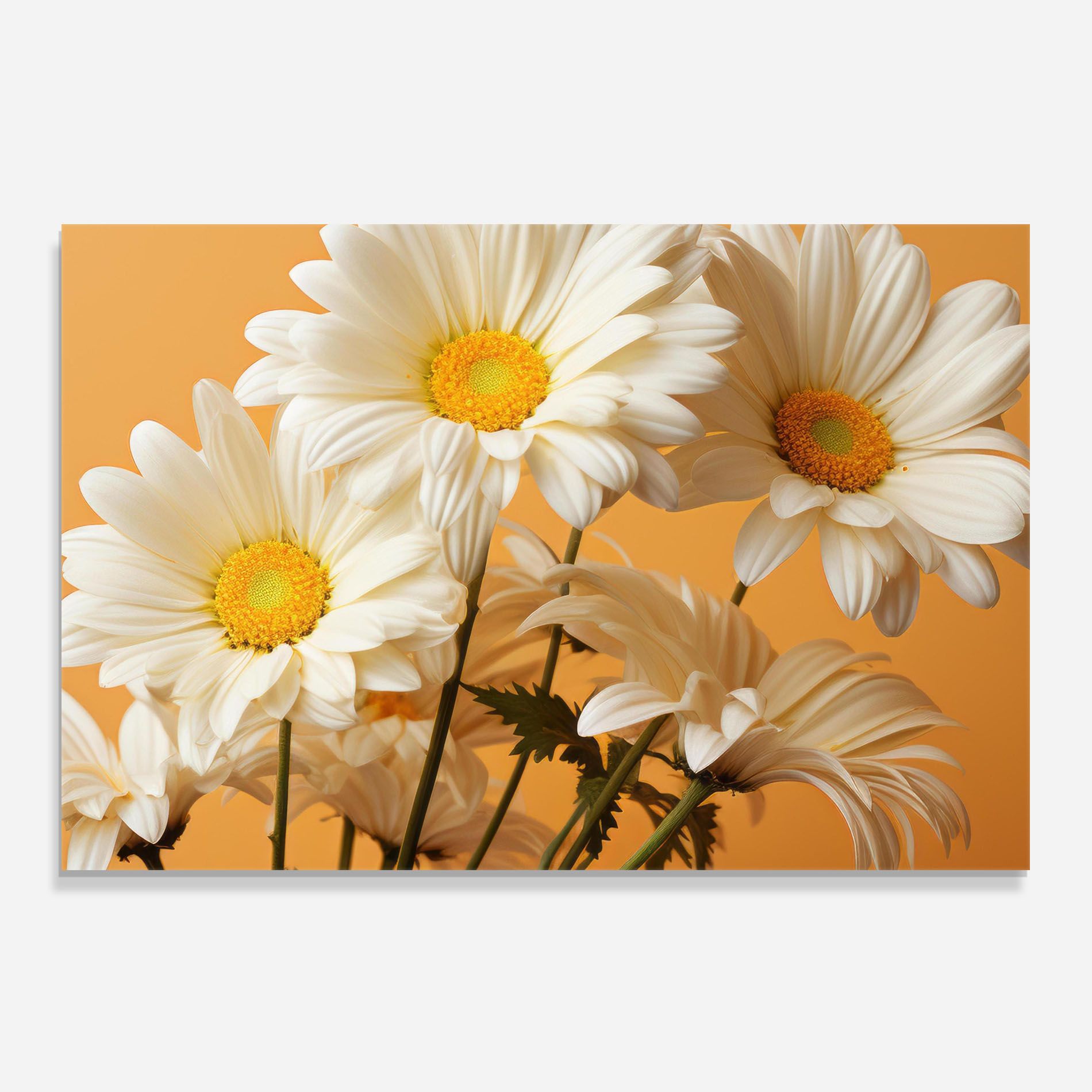 Daisy On Orange mockup 0