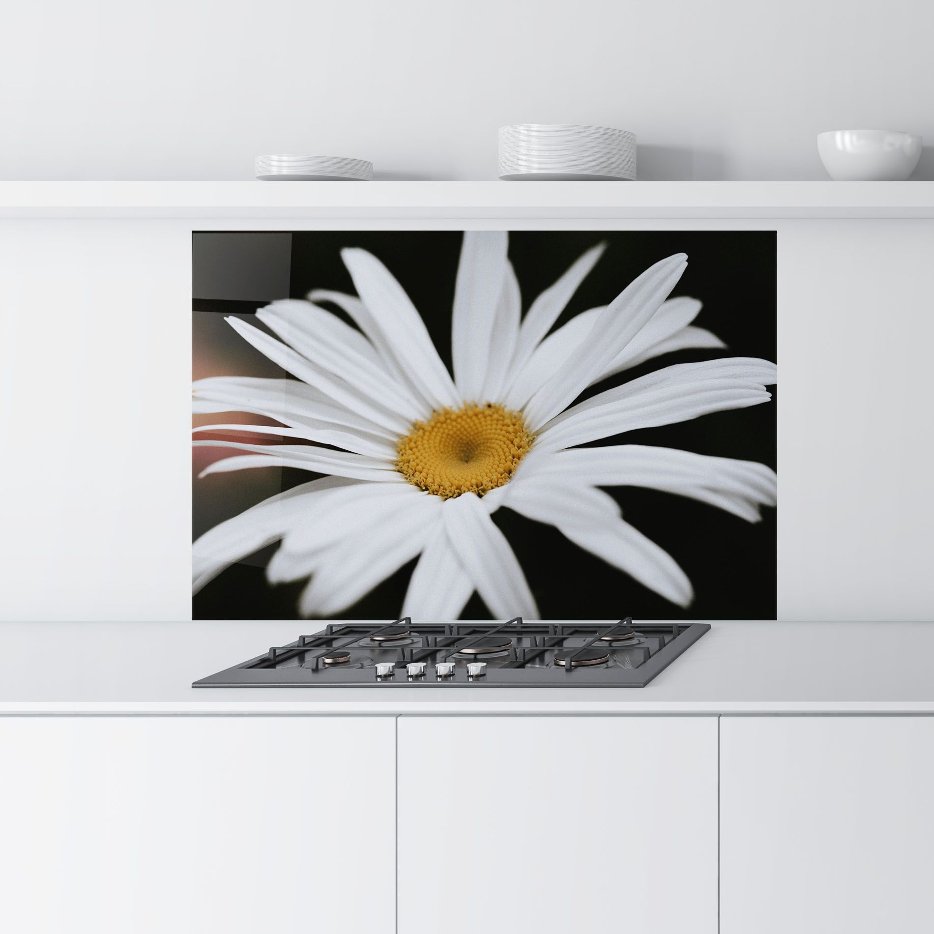 Big Daisy mockup 9