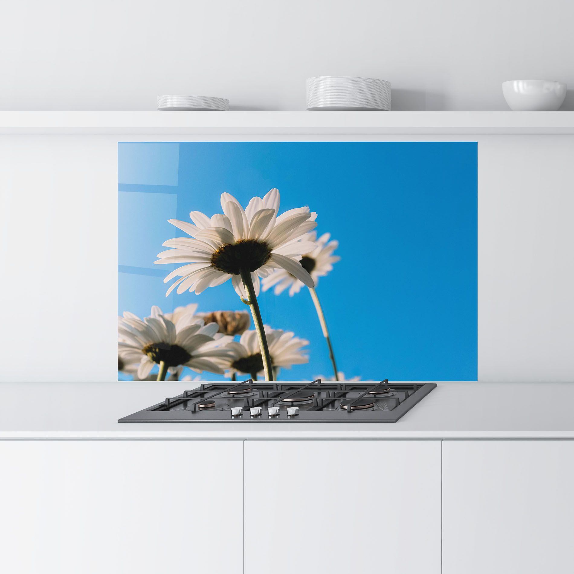 Blue Sky Daisy mockup 9